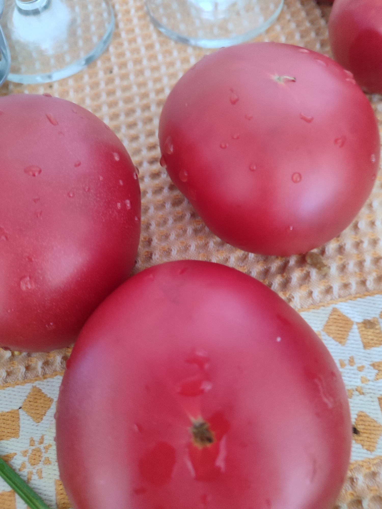 A close-up, top-down shot shows three large, ripe red tomatoes on a light-colored patterned tablecloth. The tomatoes are slightly moist, with small water droplets visible on their surfaces. The closest tomato, in the foreground, is cut at the stem end, revealing a dark brown, somewhat textured scar. To the left and slightly behind it, another whole tomato is visible, and to the right and behind that, a third whole tomato. In the blurred background, the bases of two clear glass goblets are visible, suggesting they are placed on the same tablecloth. The overall lighting is soft, casting subtle highlights on the smooth skin of the tomatoes. The scene is not set in a specific city in Sochi, Russia, but rather depicts a still life of fresh produce, potentially on a table outdoors.