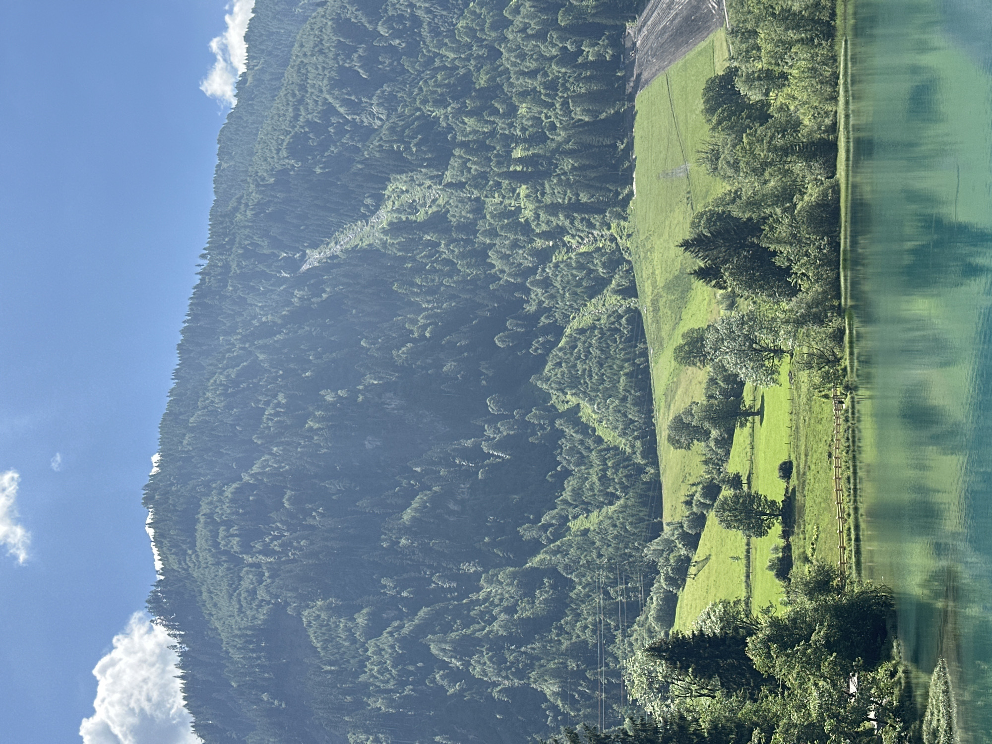 The image depicts a serene natural landscape with a body of turquoise water in the foreground, reflecting the lush green surroundings. Behind the water, a gentle slope rises, covered in vibrant green grass dotted with scattered trees. Further up the incline, the terrain transforms into a dense forest that blankets a large mountain. The mountain itself is covered in a thick growth of evergreen trees, with a discernible scar of bare earth or rock running diagonally down its face, possibly a dried-up waterfall or a landslide path. The sky above is a clear blue, with a few wispy white clouds. In the mid-ground, a rustic wooden fence runs along the edge of the water, separating it from the grassy fields. Power lines are also visible stretching across the landscape. The overall scene conveys a sense of natural beauty and tranquility in an alpine setting, consistent with the mountainous terrain of Kaprun, Austria. There are no visible people or animals in the image.
