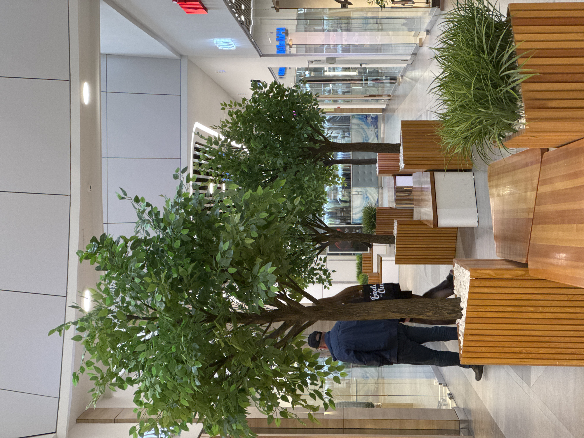 The image depicts an indoor scene, possibly a shopping mall or a public space in Izhevsk, Russia. There are artificial trees placed as decoration in the center of the space. A person wearing a dark blue jacket and a cap is standing beside one of the trees. Wooden benches are arranged on the right side of the image. Some people are walking in the background. The environment is modern with glass walls.