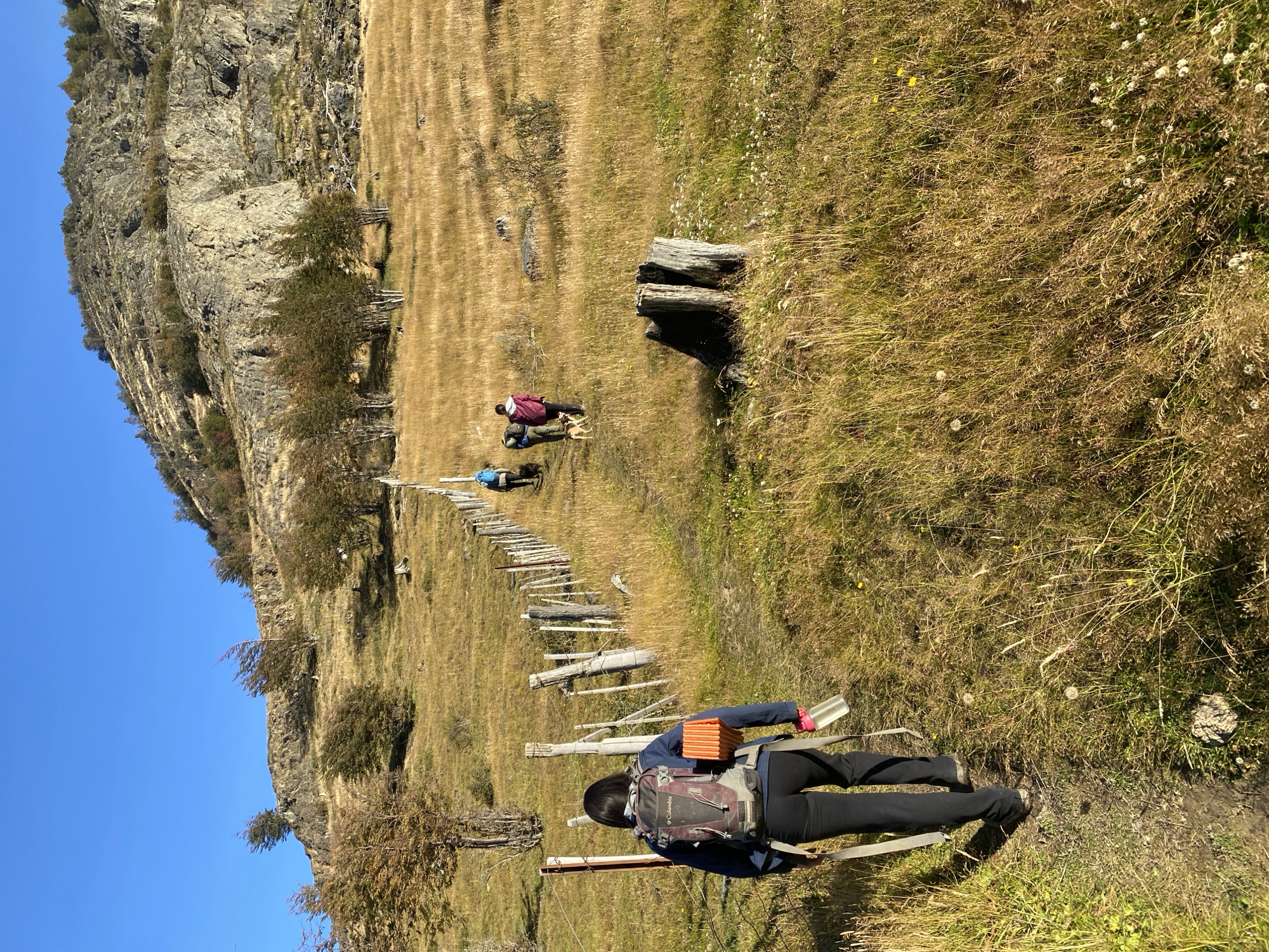 The image shows a group of people hiking in Ushuaia, Argentina. The landscape consists of a large rock face, a grassy hillside with yellow grass, a wooden fence line, and a clear blue sky.
A woman with a backpack is walking toward the viewer on a narrow path. Her backpack is gray and purple. She is wearing black pants, and blue coat and carrying a water bottle. The fence line is made of irregularly spaced wooden posts and wire. Further up the hill, two more hikers and a dog are visible. One hiker is wearing a red shirt. The hillside is primarily covered with dry yellow grass, with a few patches of green vegetation. A tree stump is visible. The rock face is on the left and shows various textures and formations.