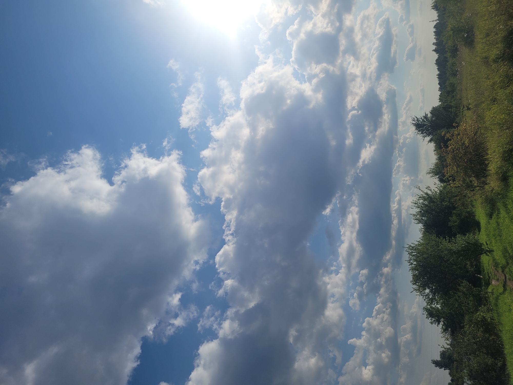 The image depicts a bright, sunny day with a dynamic sky filled with both fluffy white clouds and darker, more ominous storm clouds. The sun is visible in the upper right quadrant, casting a bright glare. Below the sky, a lush green landscape unfolds, characterized by dense trees and tall grass. A narrow dirt path winds through the greenery in the foreground. In the distance, a line of trees marks the horizon, with a tall power line visible on the far right. The overall impression is one of nature's raw beauty, with a clear contrast between the light and shadow in the sky and the verdant earth below. The scene is devoid of any human presence or activity. The location is an open field or meadow in Jūrmala, Latvia, characterized by its natural, undeveloped environment.