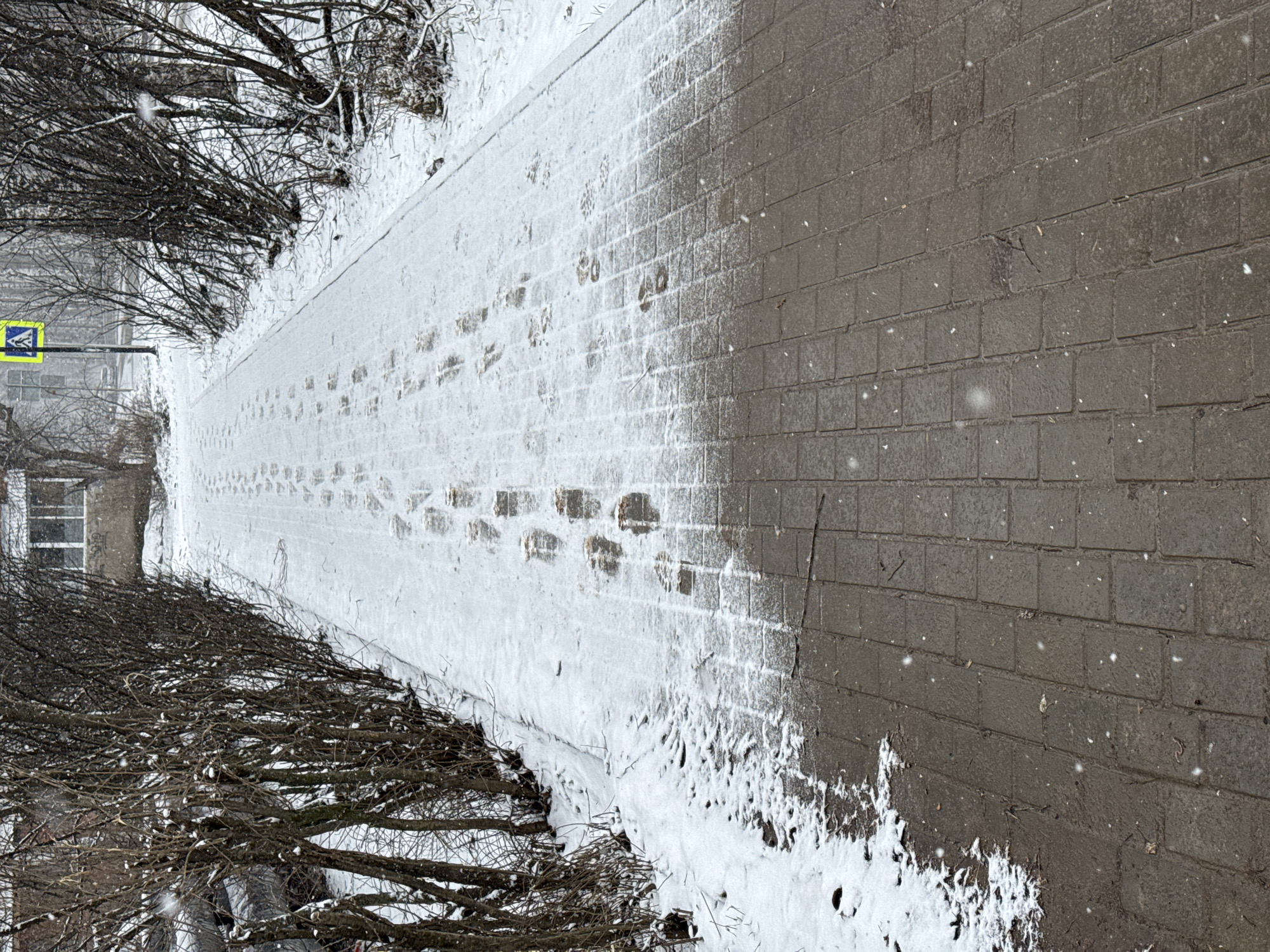 The image depicts a snow-covered sidewalk in Votkinsk, Russia. The sidewalk is paved with gray rectangular stones and is partially covered in snow, with footprints visible in the snow-covered sections. Adjacent to the sidewalk, on both sides, are bare trees and bushes. A building is visible in the background, with windows and possible graffiti. A pedestrian crossing sign is also present. The overall impression is of a cold, wintry scene.