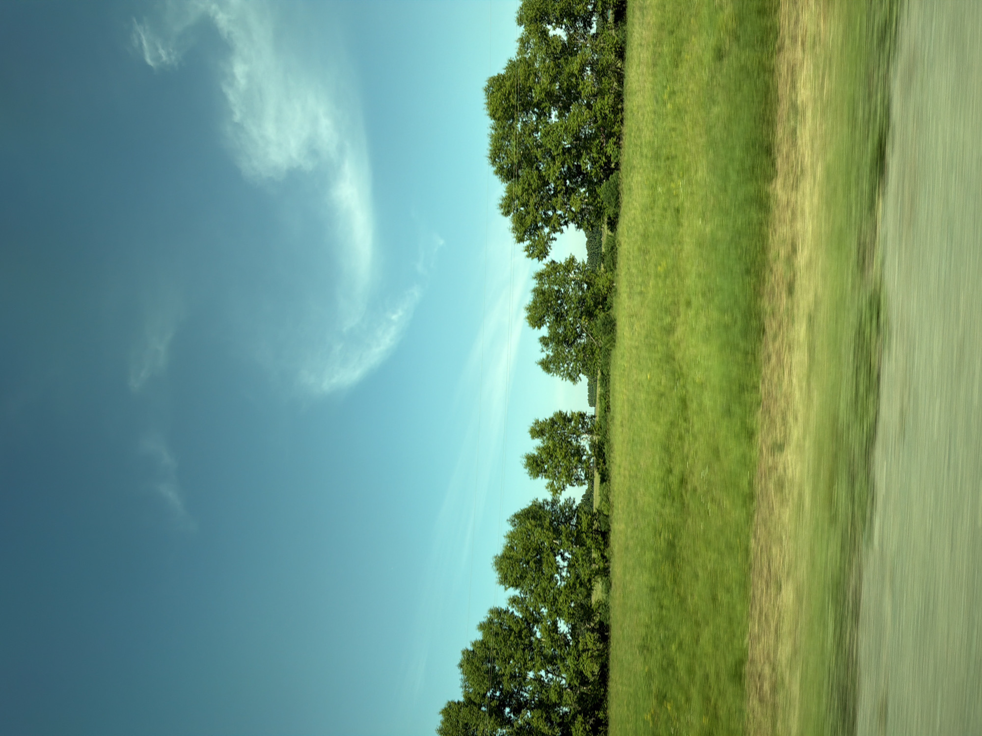 This is a vertical, eye-level, medium shot of a rural landscape under a clear sky with a few wispy clouds. The sky is a bright, pale blue, with a hint of cyan. A single, curved cloud formation is visible in the upper right quadrant. Below the sky, a row of lush green trees runs horizontally across the middle of the frame, forming a dense treeline. The trees are varied in size and shape, with full, rounded canopies. In front of the treeline is a vast, vibrant green field, which appears to be a meadow or pasture, dotted with occasional yellow wildflowers. The foreground consists of a blurred strip of brown and green, suggesting motion and that the photograph was taken from a moving vehicle, likely a car. There are power lines visible running horizontally above the treeline. The scene depicts a serene, natural environment, typical of the countryside. The location is identified as Bezmenovo, Russia.