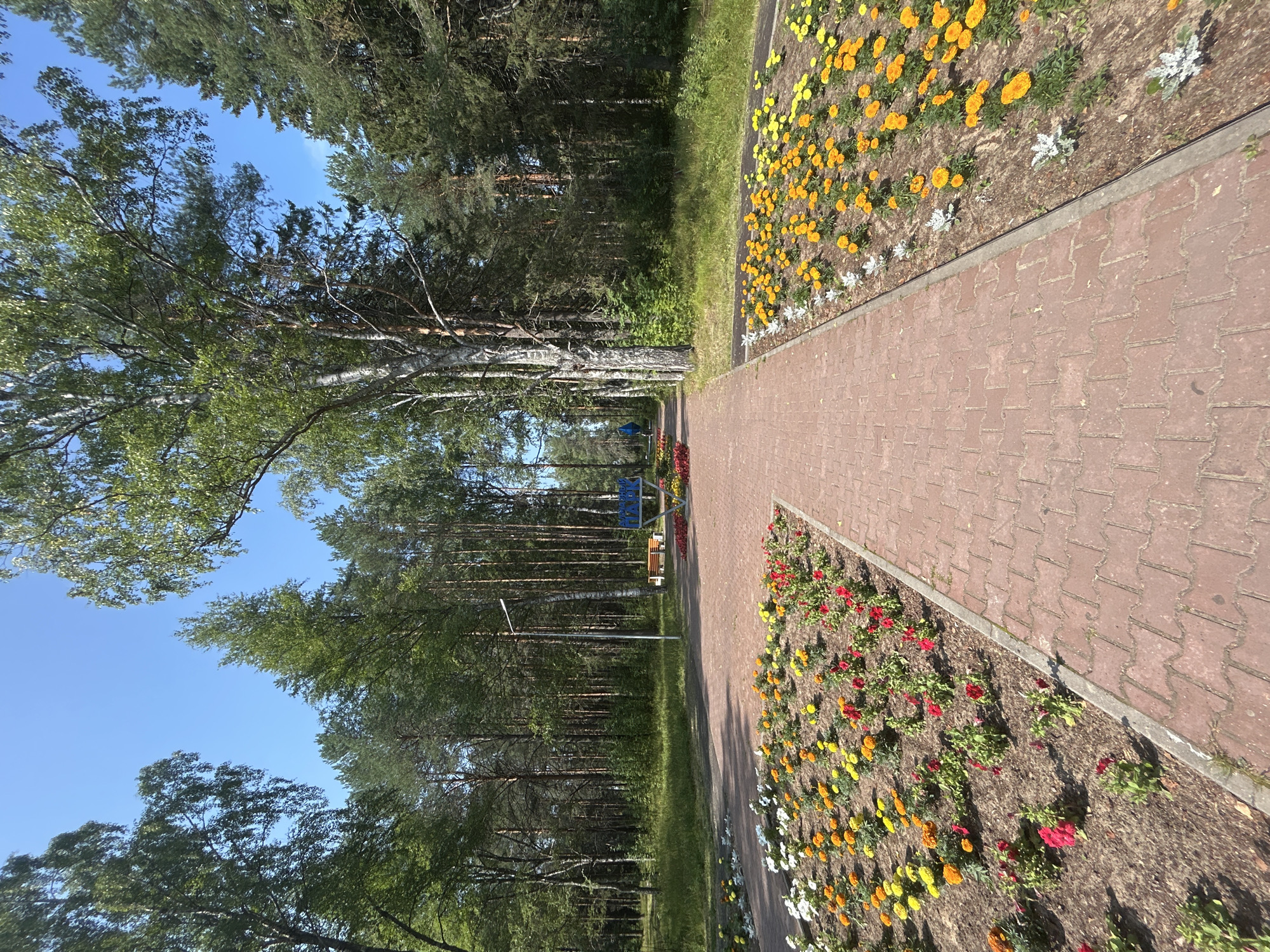 This is a vertical, eye-level, full shot of a park path in the city of Krasnovishersk, Russia. In the foreground, a brick pathway leads into the distance, flanked by flowerbeds filled with blooming flowers of various colors, including red, orange, yellow, and white. Tall green trees with dense foliage form a canopy overhead, creating a shaded environment. In the middle ground, a park sign displaying "ПАРК" (PARK) in large blue letters is visible, along with a bench and a lamppost. The background features a dense forest of pine and birch trees. The sky is clear and blue, indicating a sunny day.