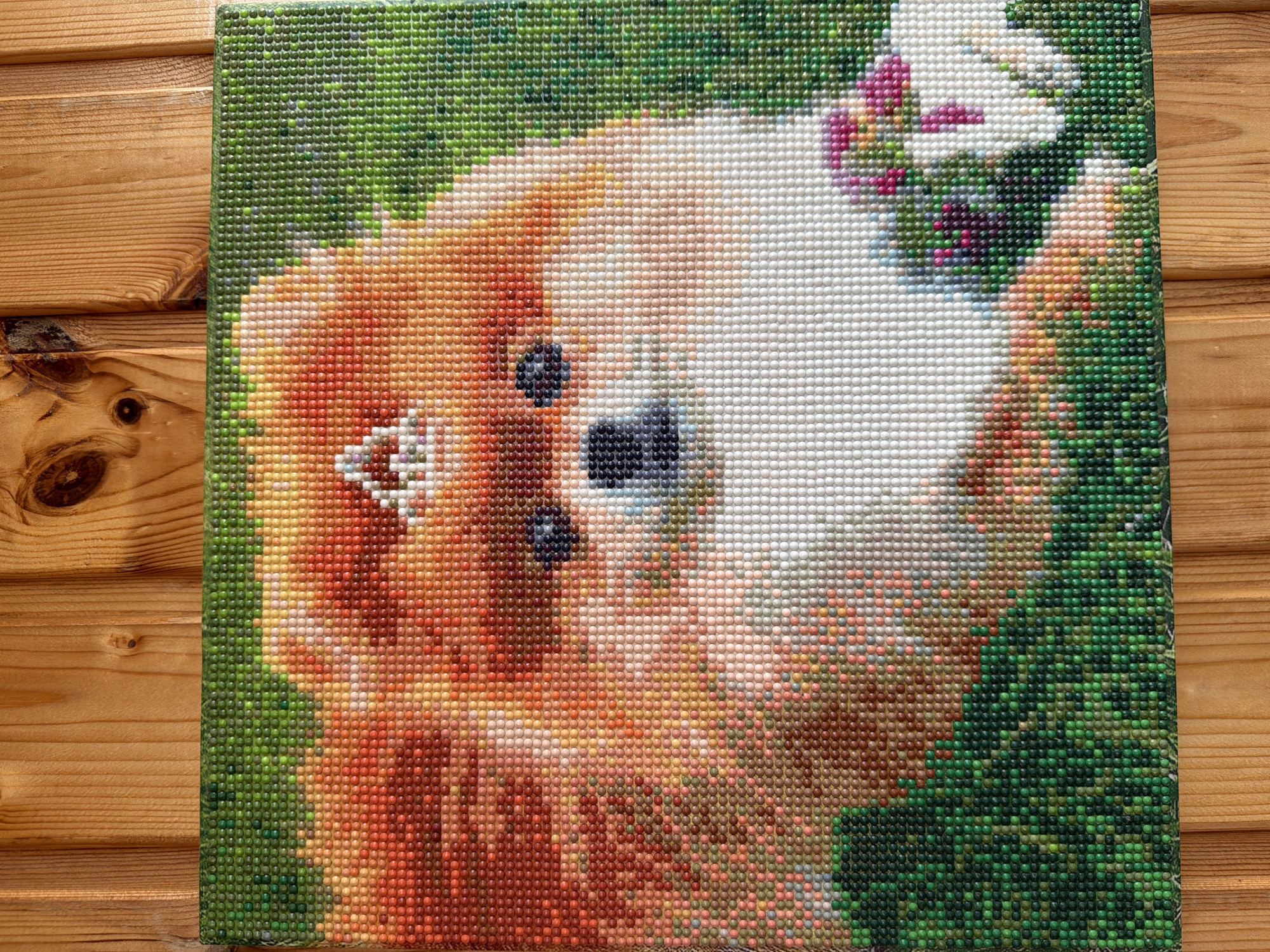 The image depicts a completed diamond painting of a Pomeranian dog. The artwork is composed of small, faceted beads adhered to a canvas, creating a pixelated representation of the subject. The dog has a white and orange coat. The background of the painting is a field of green. The finished piece is placed on a light brown, wooden surface.