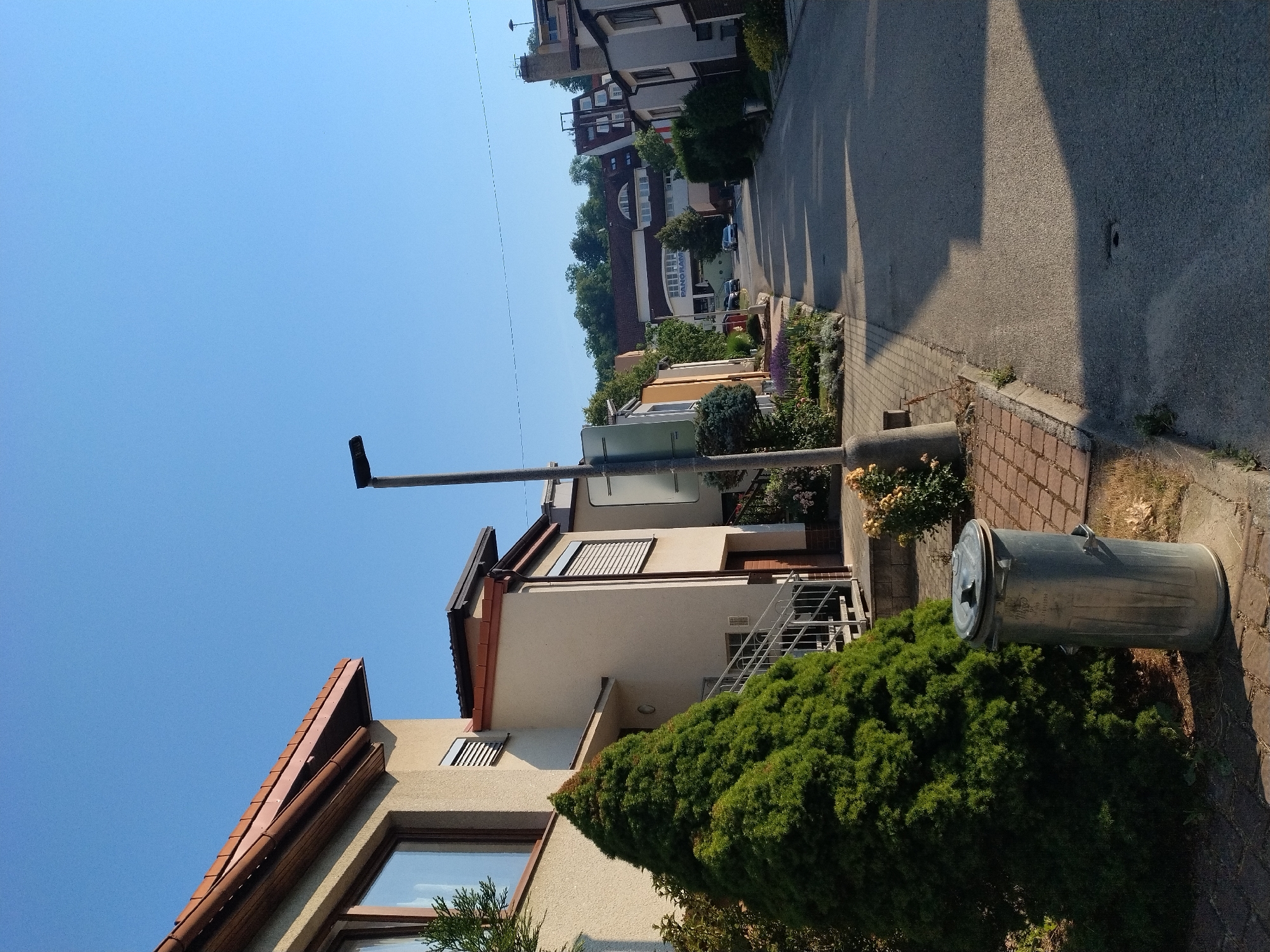 The image depicts a street scene in Hluboká nad Vltavou, Czechia. The perspective is from ground level, looking down a residential street lined with modern, multi-story houses. A large, conical evergreen tree is prominent in the foreground to the left, next to a silver, cylindrical trash bin. The street is paved and appears to be empty of people, though a few cars are visible parked further down the road and one driving away. The architecture suggests a suburban setting with a clear blue sky overhead. The houses have beige or white facades, some with brown tiled roofs and dark-framed windows, others with lighter colored elements. A street lamp stands on the right side of the street. The overall impression is a quiet, sunny day in a well-maintained neighborhood.