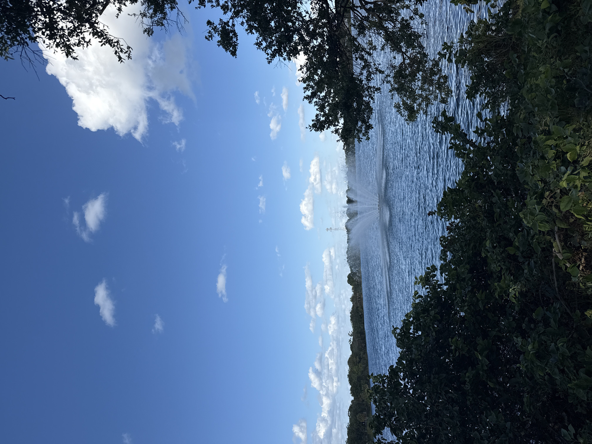 The image presents a scene with a body of water featuring a fountain, a blue sky with scattered clouds, and foliage framing the top and right side of the view. The location is in Hollywood, Florida, United States, specifically at a lake with a prominent fountain. The foliage consists of trees and shrubs, and they are providing a natural frame to the waterscape.