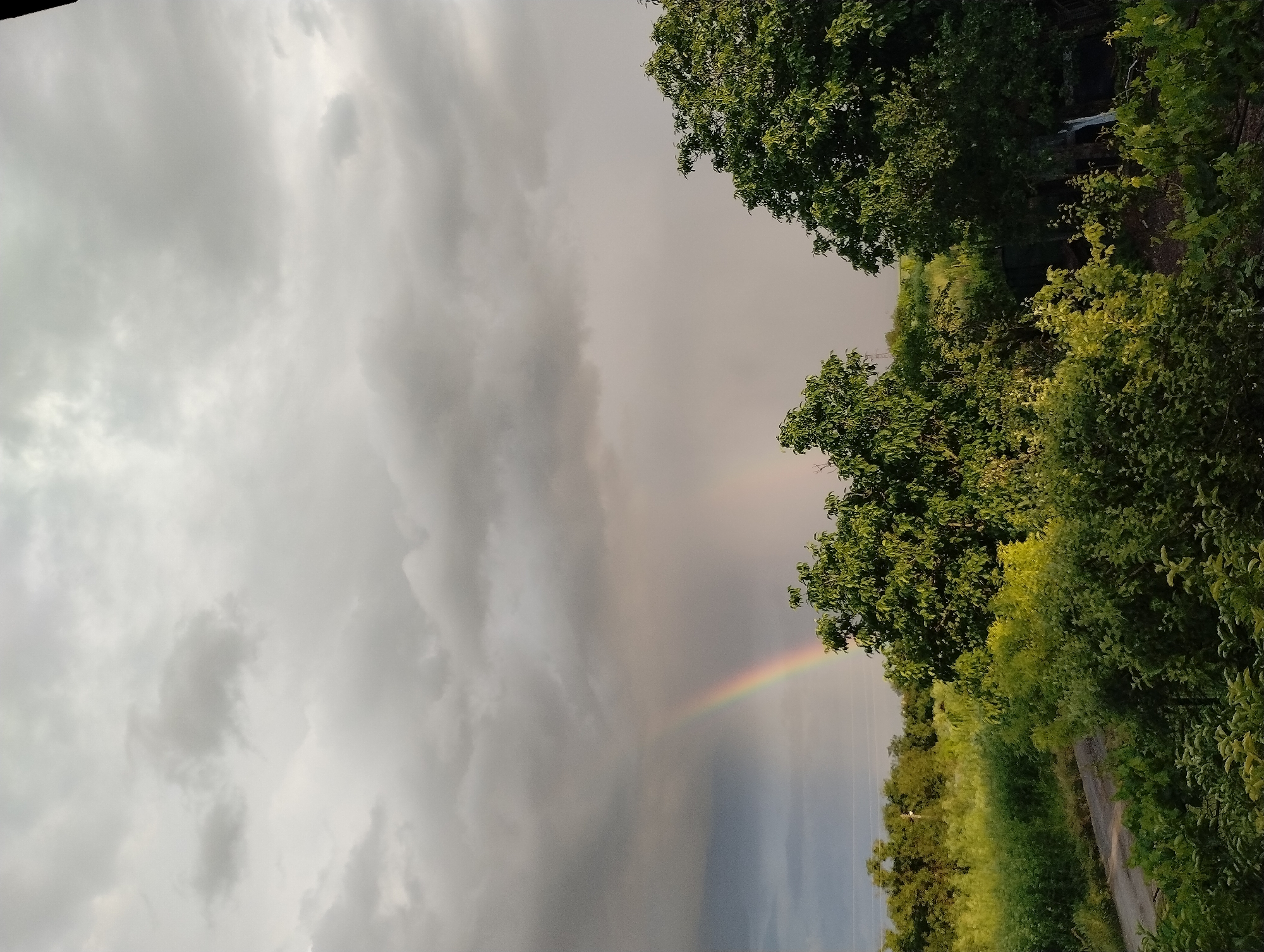 The image depicts a landscape with a rainbow in the sky. The sky is predominantly filled with gray clouds. A vibrant rainbow arches across the sky, extending from behind trees on the right side of the image. The trees are lush and green. Below the trees, there's a path. The image is taken in the city of Roza, Bulgaria.