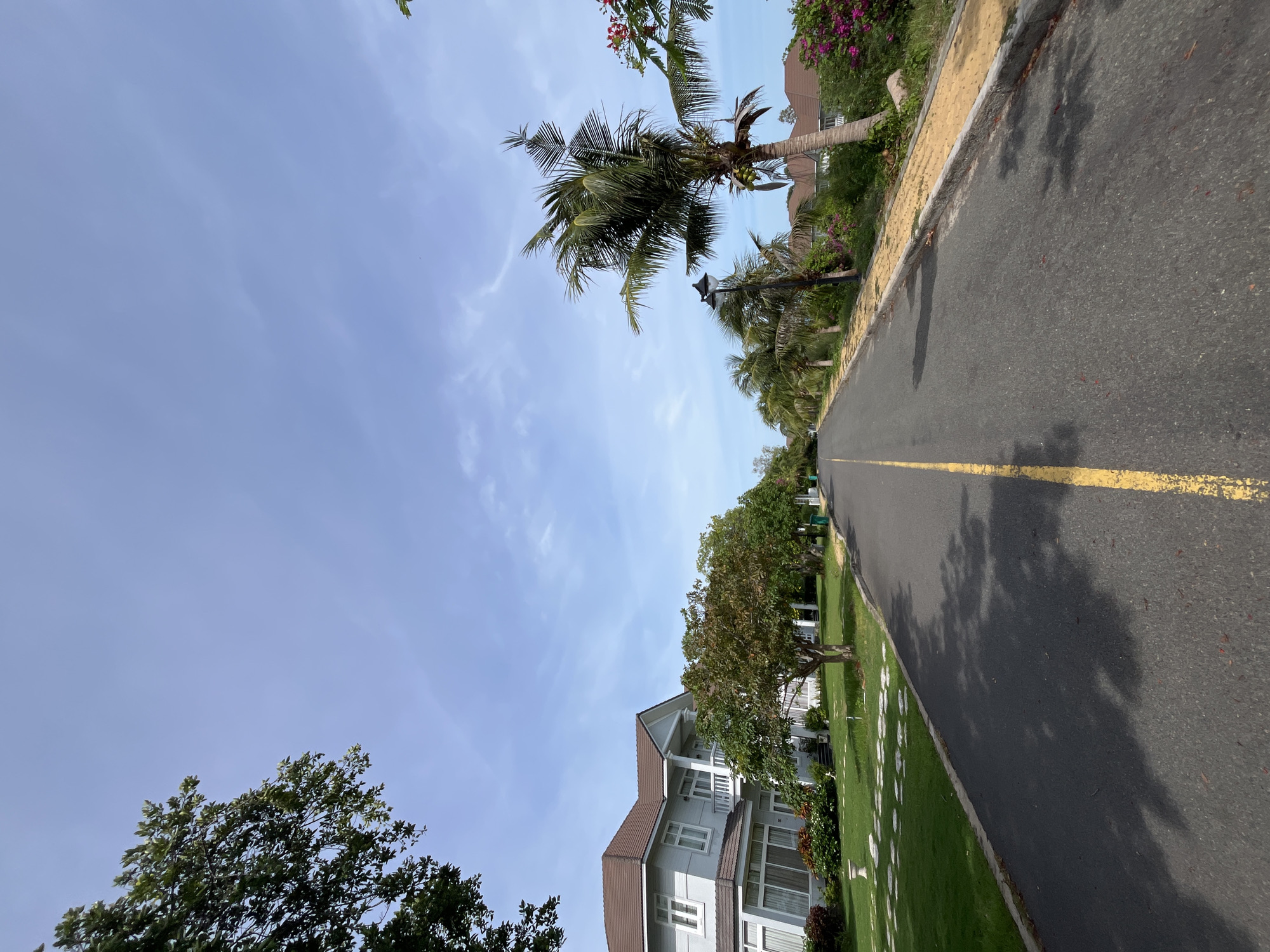 The image depicts a street in Phu Thuy Ward, Vietnam, lined with palm trees and houses. The asphalt road has a yellow line down the center. On the left side of the road, there is a modern-looking house with a brown roof, a well-maintained lawn, and stepping stones. On the right side, a row of palm trees, some bearing coconuts, stands along the sidewalk, which is paved with yellow bricks. In the background, more houses with brown roofs are visible, nestled among lush greenery and flowering bushes. The sky is a clear blue with a few wispy clouds. The lighting suggests it is daytime, possibly late morning or early afternoon. There are no people or vehicles present in the scene.