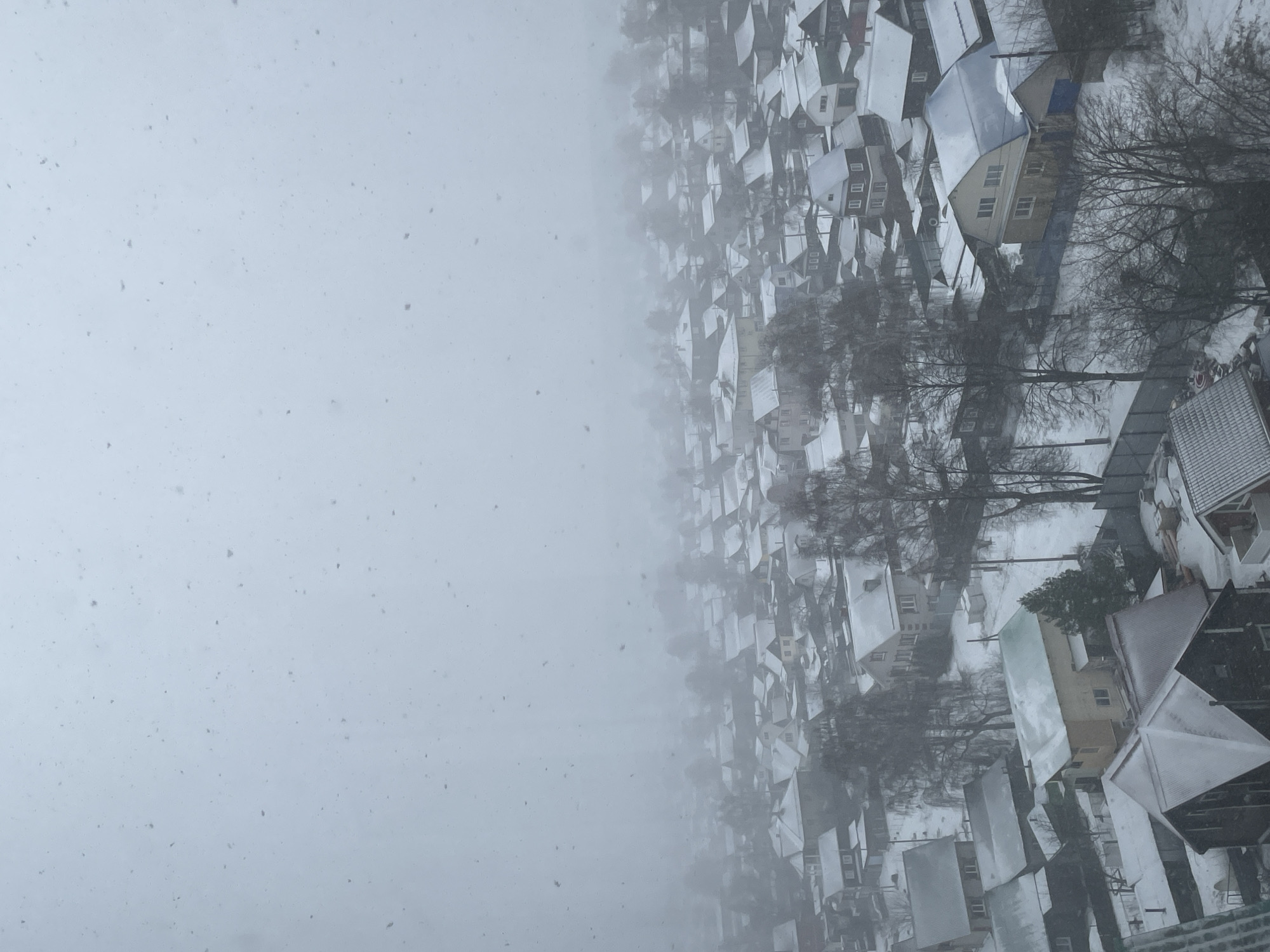 The image depicts a residential area in Izhevsk, Russia during a heavy snowfall. The photograph is taken from an elevated perspective, possibly from a high-rise building or a hill, looking down on a dense collection of houses. The houses are covered in a thick layer of snow, obscuring their original colors and architectural details. Bare trees and utility poles can be seen interspersed among the houses. The left side of the image is dominated by a white expanse, likely representing the heavy snowfall and limited visibility. The overall environment conveys a sense of winter and the impact of heavy snowfall on the urban landscape.