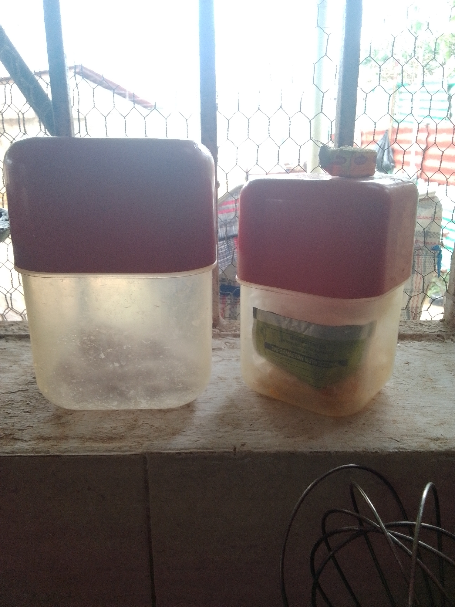 The image depicts two plastic containers with red lids, one larger and translucent, the other smaller and opaque. The larger container, on the left, is filled with some sort of dry goods, possibly cereal or grains, and appears to have some residue on its inner walls. The smaller container, on the right, is also translucent and contains a green-colored item, possibly a food packet or wrapper with nutritional information visible. Both containers are placed on a textured, light-colored surface, which could be a windowsill or a ledge. Behind the containers, a wire mesh fence is visible, and beyond that, a bright, hazy sky and some foliage can be discerned. The overall setting suggests an outdoor or semi-outdoor environment. The presence of a wire mesh fence might indicate a garden, a yard, or an enclosure. The lighting suggests it is daytime, with strong sunlight coming from the background. There are no people or animals visible in the image. The context provided about La Tagua, Venezuela, suggests this scene is located in that region, possibly in a residential or agricultural setting given the surrounding elements.