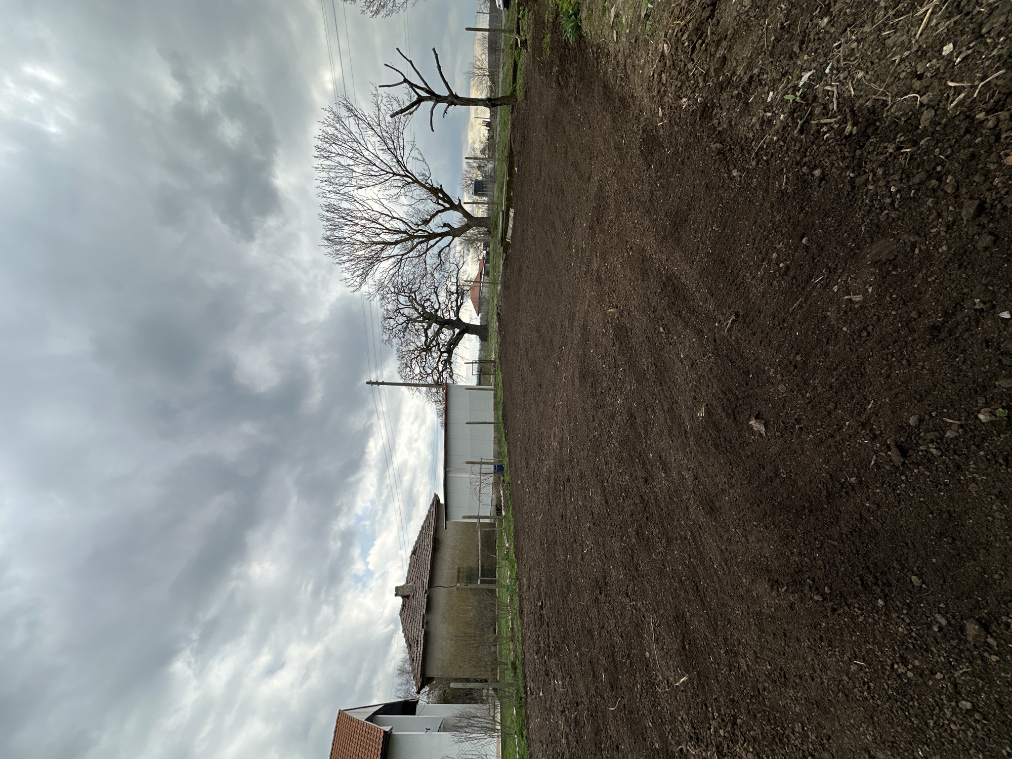 The image shows a field in Balkantsi, Bulgaria, likely prepped for planting. The soil is dark and appears freshly tilled. To the left of the field are a few buildings, including a small house with a tiled roof and a larger white building behind it. Bare trees stand in the distance between the house and the field, silhouetted against an overcast sky. Overhead power lines are visible. The scene suggests a rural or agricultural setting. No people or animals are visible. The image appears to be taken from a low angle, potentially from the ground.