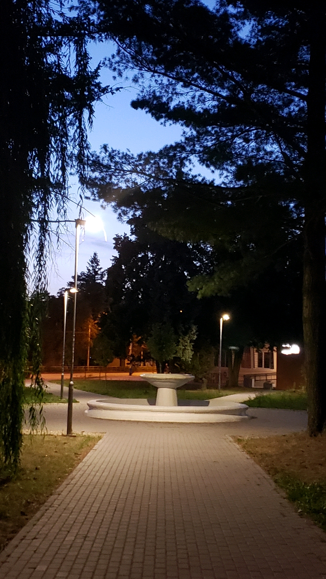 The image depicts a park area in Prešov, Slovakia, at dusk. A paved walkway, made of light-colored bricks, leads towards the viewer, curving slightly to the right. To the left of the walkway, there is a grassy area with a large tree, likely a willow, with its branches hanging low and creating a silhouette. To the right of the walkway, there is a white, tiered fountain with a wide basin, also illuminated by artificial light. In the background, beyond the fountain, there are more trees, some of which are silhouetted against the twilight sky. Several lampposts are visible, providing illumination. In the far background, there appears to be a building with windows and some faint lights. The sky is a deep blue, indicative of twilight. There are no people clearly visible in the foreground or midground, though a small figure may be present in the distance on the right side. The overall atmosphere is tranquil and serene.