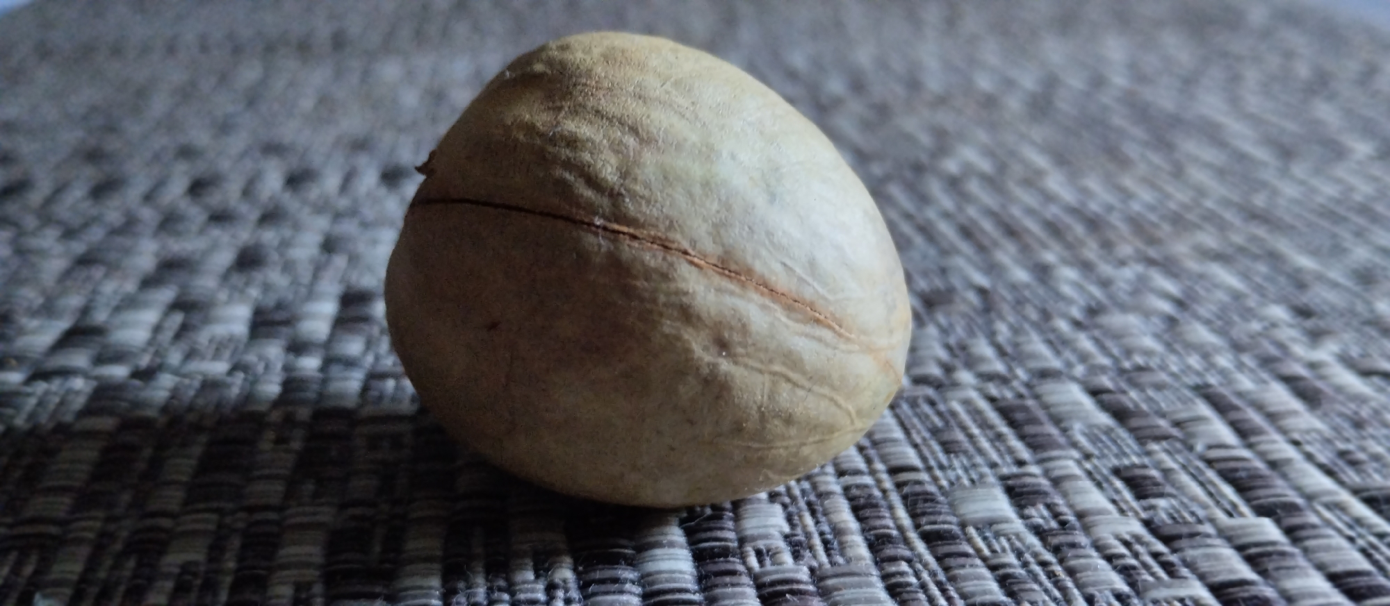 A single, light brown, oval-shaped avocado is positioned on a textured, grey and white woven surface. The avocado has a faint lengthwise seam or crack running down its surface and appears to be resting on its side. The background is blurred, but the woven texture of the surface continues throughout. There is no indication of its location in Sondrio, Italy.