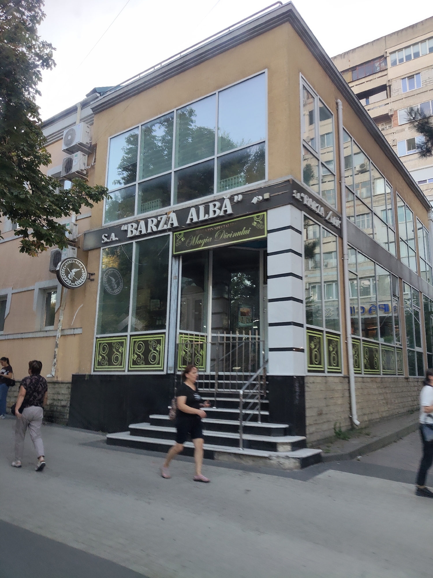The image depicts the exterior of a building in Chișinău, Moldova, specifically the establishment named "S.A. BARZA ALBA" and "Magia Crăciunului" (Magic of Christmas). The building has a prominent yellow facade with large windows, some of which reflect the surrounding environment and a taller, older building. The entrance is marked by a set of stairs and a metal railing. A circular sign with the "Barza Alba" logo is visible on the left side of the building. Several individuals are walking on the sidewalk in front of the building. One woman in the foreground is wearing a black t-shirt and shorts, walking towards the right. Another person, appearing to be a woman, is walking away from the camera in light-colored pants and a patterned top. The street in front of the building is paved. In the background, a residential building with multiple windows can be seen. The overall scene suggests a commercial area with pedestrian traffic.