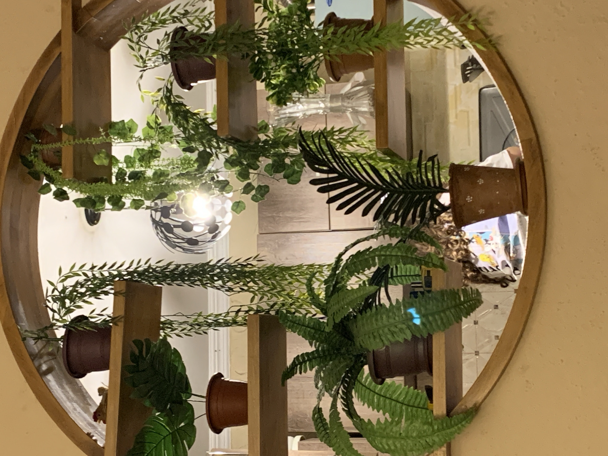 The image shows a circular wooden frame housing a display of artificial plants on multiple shelves. The shelves are made of wood and are tiered, with plants in brown pots placed on them. Some plants are hanging down from the shelves. A decorative lamp with a metallic shade is visible in the background. A person's reflection can be seen in the mirror on the wall behind the plants. The setting appears to be indoors, possibly a home or a retail space, with cabinetry visible in the background. The overall impression is one of a decorative arrangement designed to bring a touch of nature indoors.