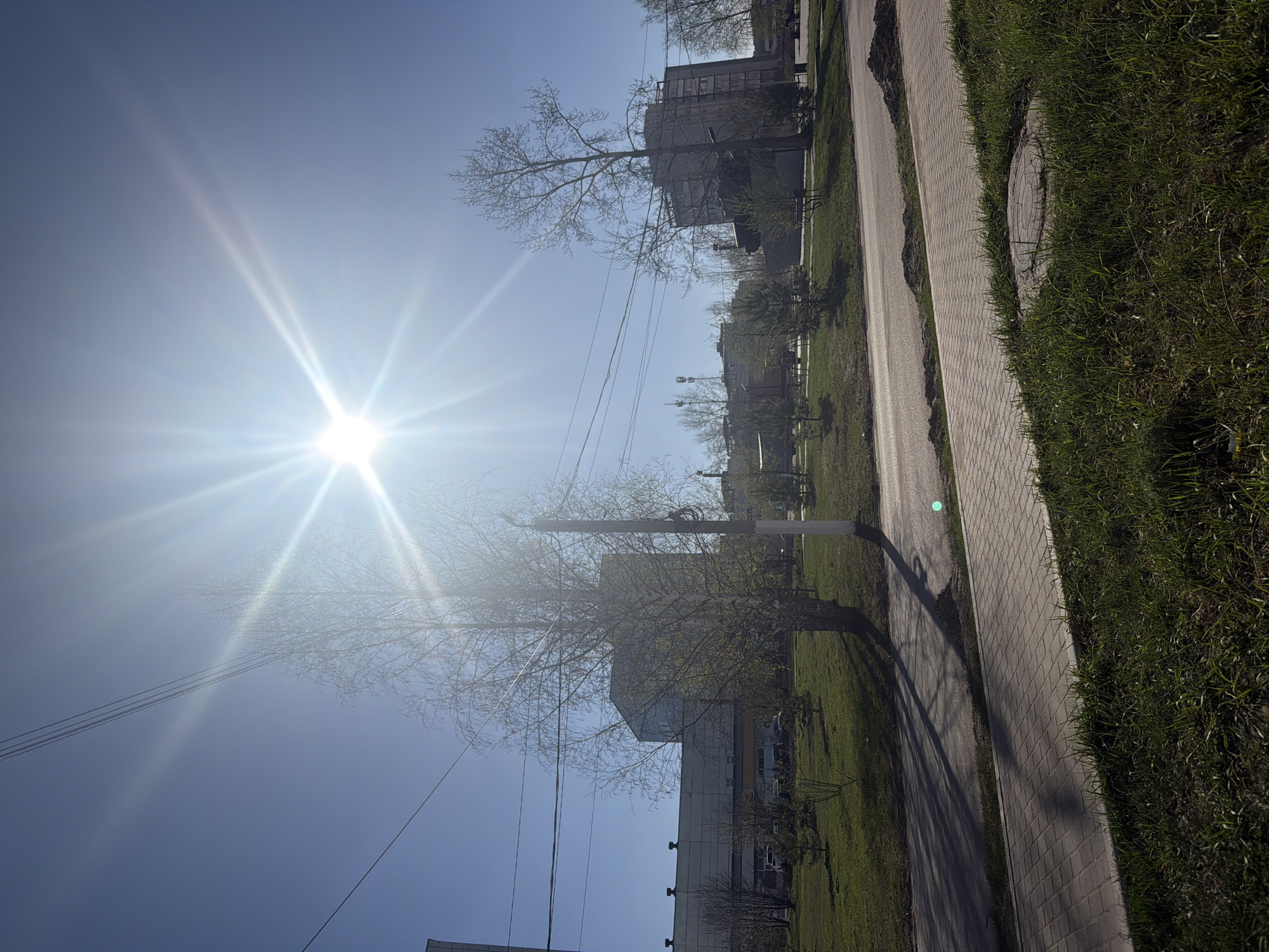 The image captures a sunny scene in what appears to be the city of Chaikovsky, Russia. A bright sun shines intensely in the sky, partially obscured by a bare tree in the foreground. Below, there is an area of grass with a sidewalk. A multi-story building is visible in the background. There are utility lines strung across the view.