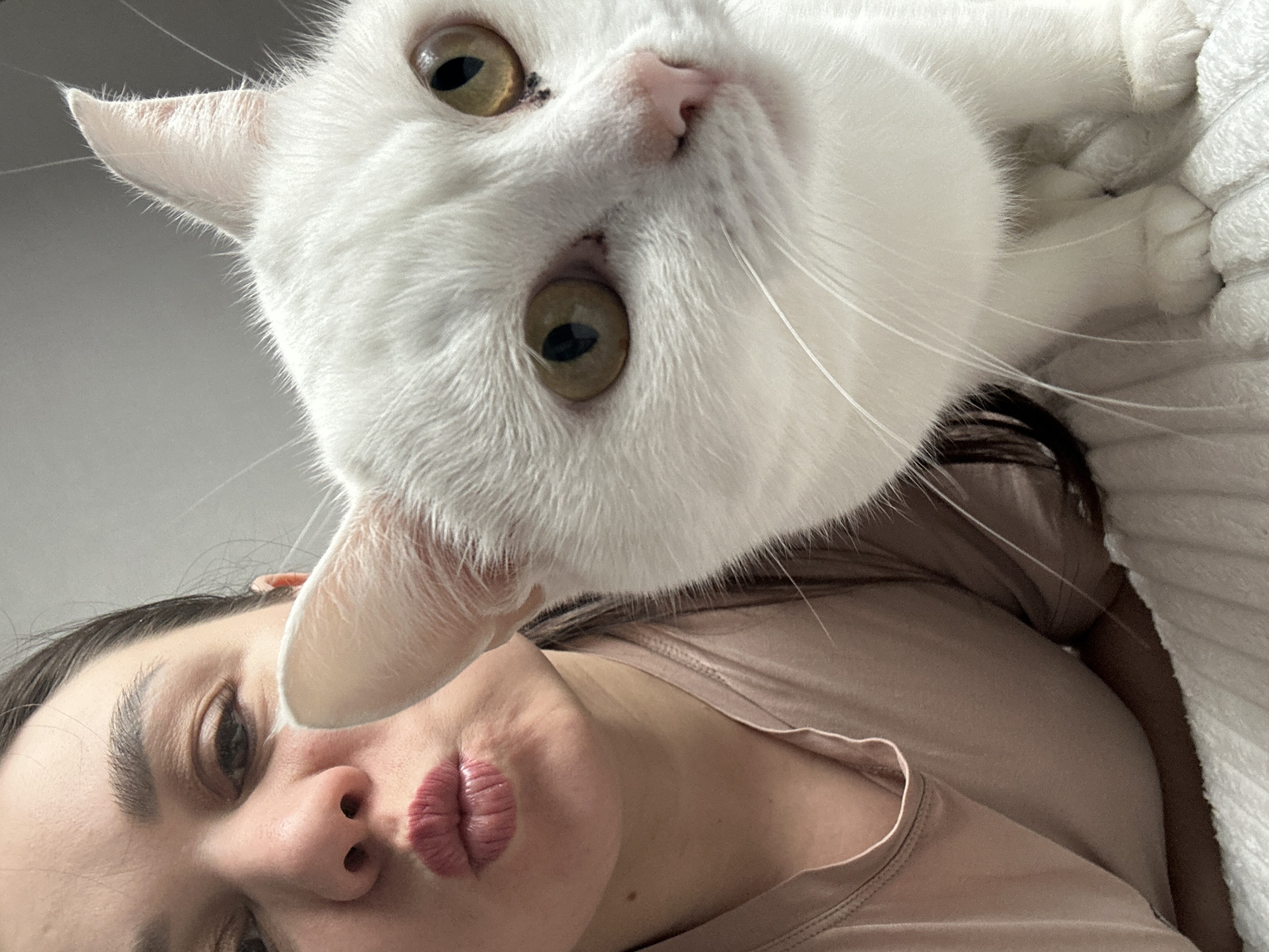A close-up shot captures a white cat in the foreground, its head tilted downwards towards the camera. The cat has amber eyes, a pink nose, and white whiskers. Below the cat, a woman's face is visible, angled upwards. Her lips are pursed. The background is nondescript. The location is Chaikovsky, Russia.