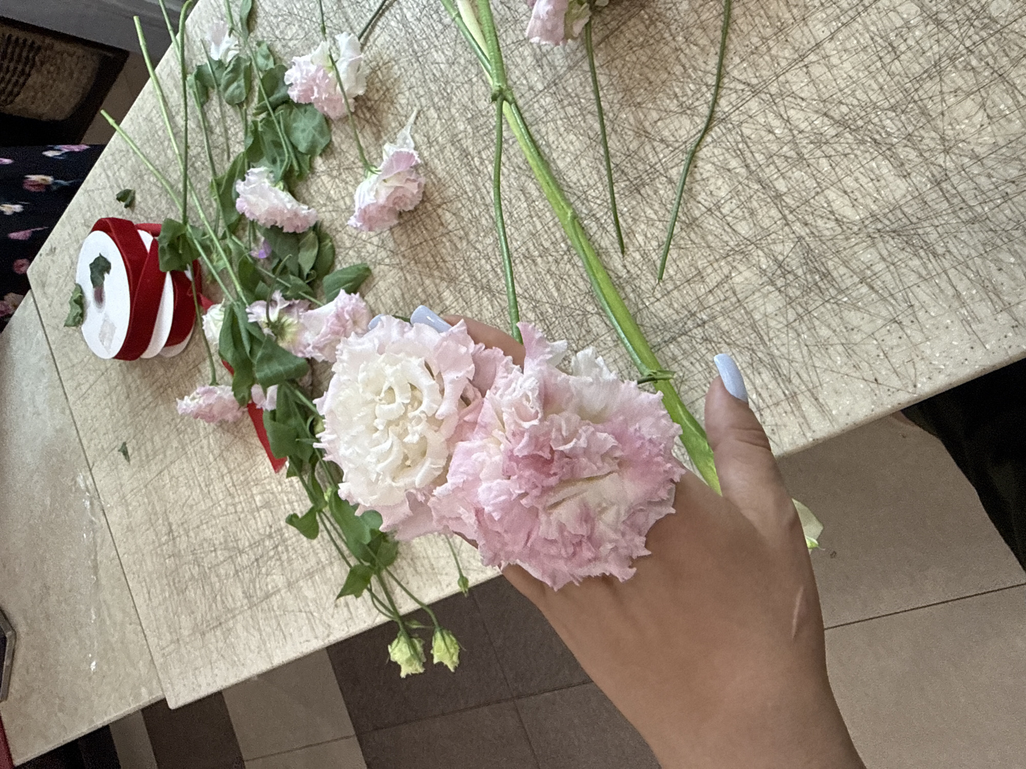 A person's hand, with light skin and light blue painted fingernails, is holding several delicate pink and white lisianthus flowers. The flowers have ruffled petals and green stems. The hand and flowers are positioned over a light-colored, textured surface that appears to be a wooden cutting board or table with numerous fine scratches. In the background, a roll of red ribbon and more lisianthus flowers are scattered across the same surface. A tiled floor with a brown and beige checkerboard pattern is visible in the lower left corner. The scene suggests a preparation or arrangement of flowers. The image's context implies the scene is located in Assinovskaya, Russia, though the visual elements themselves do not provide direct evidence of this location.