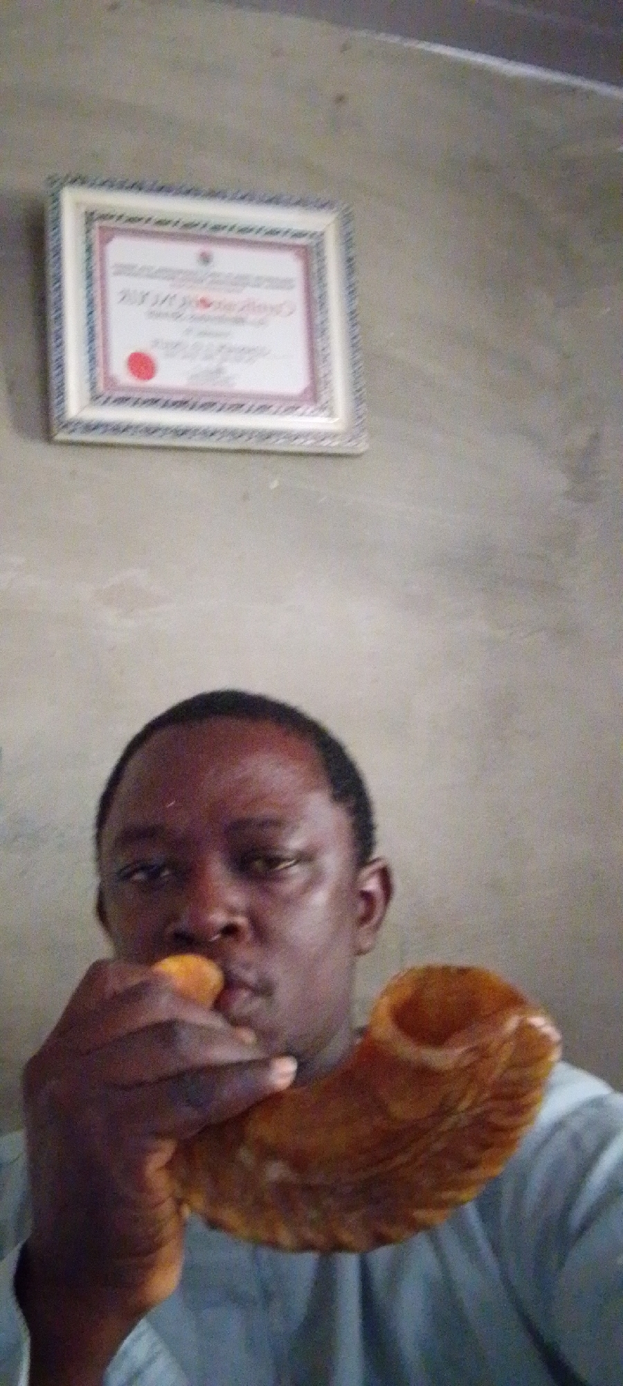 The image captures a man indoors, seemingly in Lokoja, Nigeria, holding a large, light-brown, curved horn-like object to his mouth. The man has dark skin and short, dark hair, with a neutral and focused expression. He is wearing a light-colored, possibly blue or grey, collared shirt. His right hand holds the narrow end of the horn to his lips, while the wider, open end extends towards the right of the frame. The horn has a visible ribbed or textured surface.
In the background, a framed document, likely a certificate or diploma, hangs on a plain, light grey or beige wall that appears slightly textured. The document has a decorative border, a white background, and features what appears to be a crest or logo at the top center. Although some text lines are visible, they are too blurry to be read due to the image's resolution and distance. A prominent red circular seal is visible at the bottom center of the document. The lighting suggests it is daytime. The overall scene appears to be a casual moment of the man engaging with the horn, possibly preparing to blow it or having just done so.