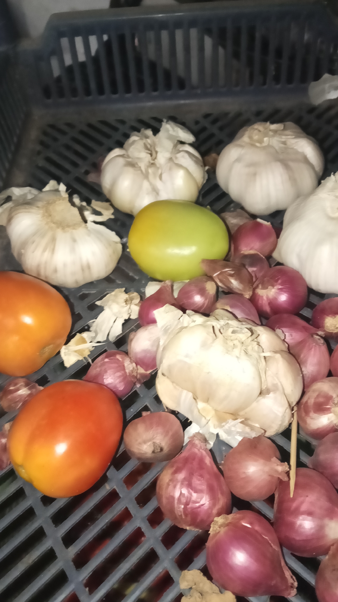 In the city of Pelanjau Jaya, Indonesia, a close-up, high-angle shot captures a collection of produce within a grey plastic crate. The crate's slatted design is visible as the primary background. The subjects are several heads of garlic, various red onions, two red tomatoes, and one green tomato. The produce is arranged in a somewhat haphazard manner, filling much of the visible space within the crate. The lighting is dim, casting soft shadows and highlighting the textures of the vegetables. The overall scene appears to be an indoor setting, likely a kitchen or storage area.