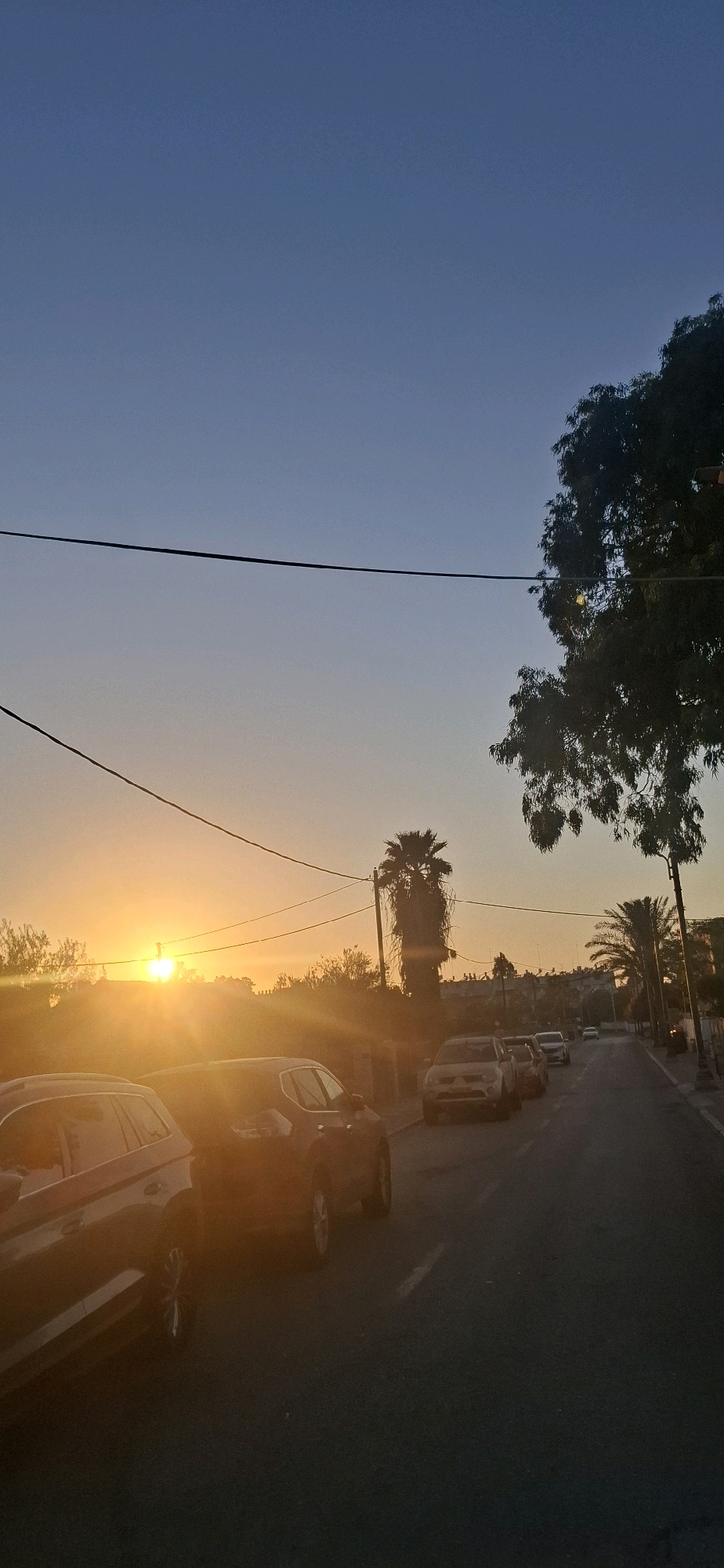 This is a vertical, eye-level, full shot of a street in Yerocham, Israel, at sunset. The sky is a gradient of blue and orange, with the sun, a bright orange orb, setting behind buildings and trees on the left side of the frame, casting a strong lens flare across the scene. Several cars are parked along the side of the asphalt road, which runs from the bottom right corner towards the top left. The cars are mostly modern SUVs and sedans, silhouetted and partially obscured by the sun's glare. A large tree with dark green leaves is visible on the right side of the frame, with its branches extending into the upper right corner. A tall, slender palm tree stands further down the street, to the right of the setting sun. Power lines are strung across the upper portion of the image. The scene appears to be a residential or commercial street during golden hour, with no people visible.