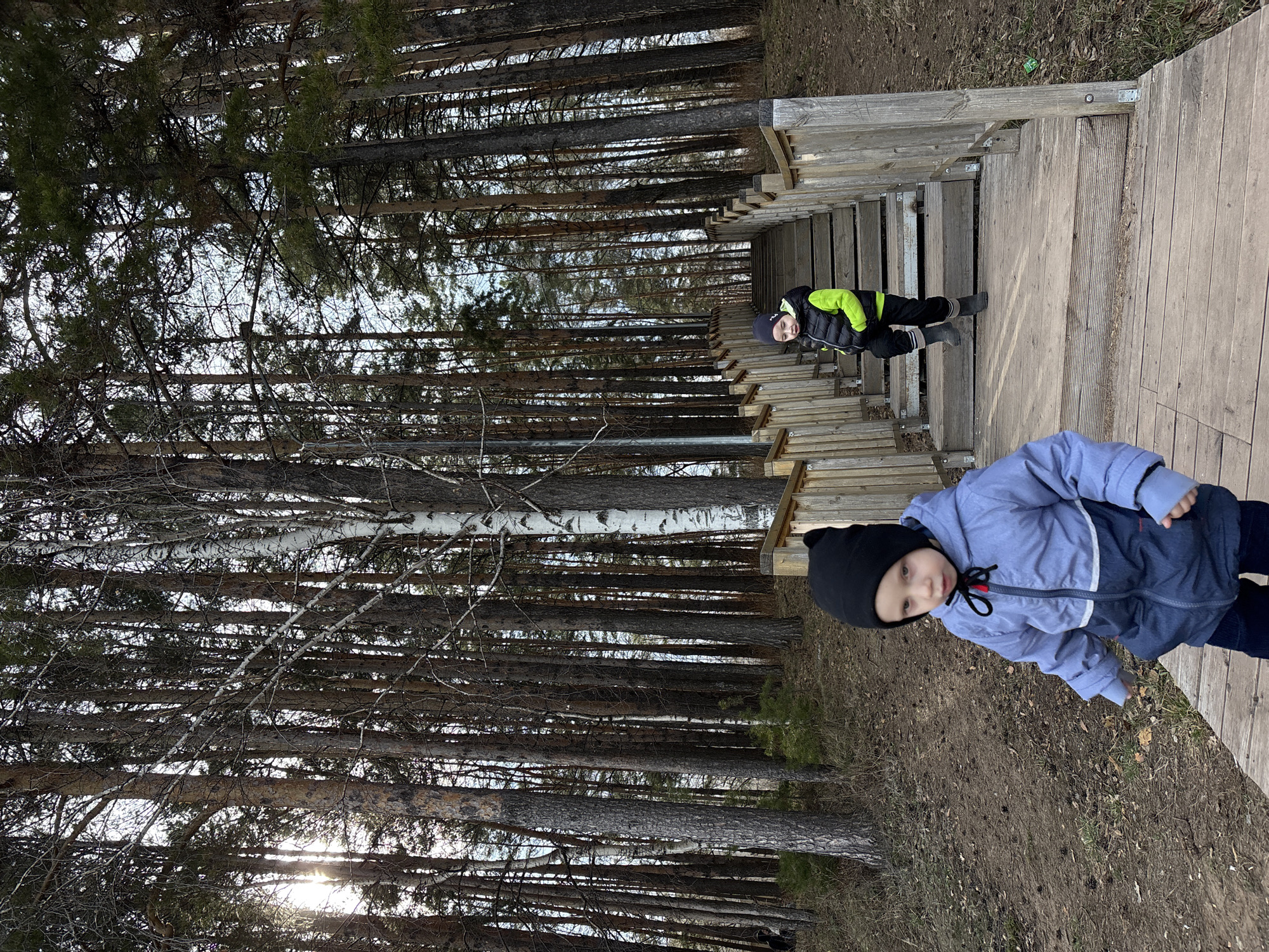 The image captures two young children on a wooden boardwalk or staircase within a dense forest. The scene depicts a cool season, likely late autumn or early spring, characterized by dry ground covered with leaves and pine needles, and the children's winter attire. The forest is populated by numerous tall trees, predominantly conifers (pines/spruces) and some birches. Patches of bright sky are visible through the canopy, and subtle sunlight filters through the branches in the lower left.
In the foreground, a younger child, wearing a black beanie and a light blue and dark blue winter jacket with a gray stripe, stands on the wooden path, looking towards the camera with a neutral expression. Further back on the wooden structure, another child, dressed in a black beanie, a black winter jacket with prominent neon green sleeves, black pants, and dark boots, also looks towards the camera.
The children appear to be exploring the forest on the elevated wooden pathway, which features multiple levels and sturdy planks, suggesting a nature trail or observation deck. No visible text is present in the image. The context places this scene in Chaikovsky, Russia.
