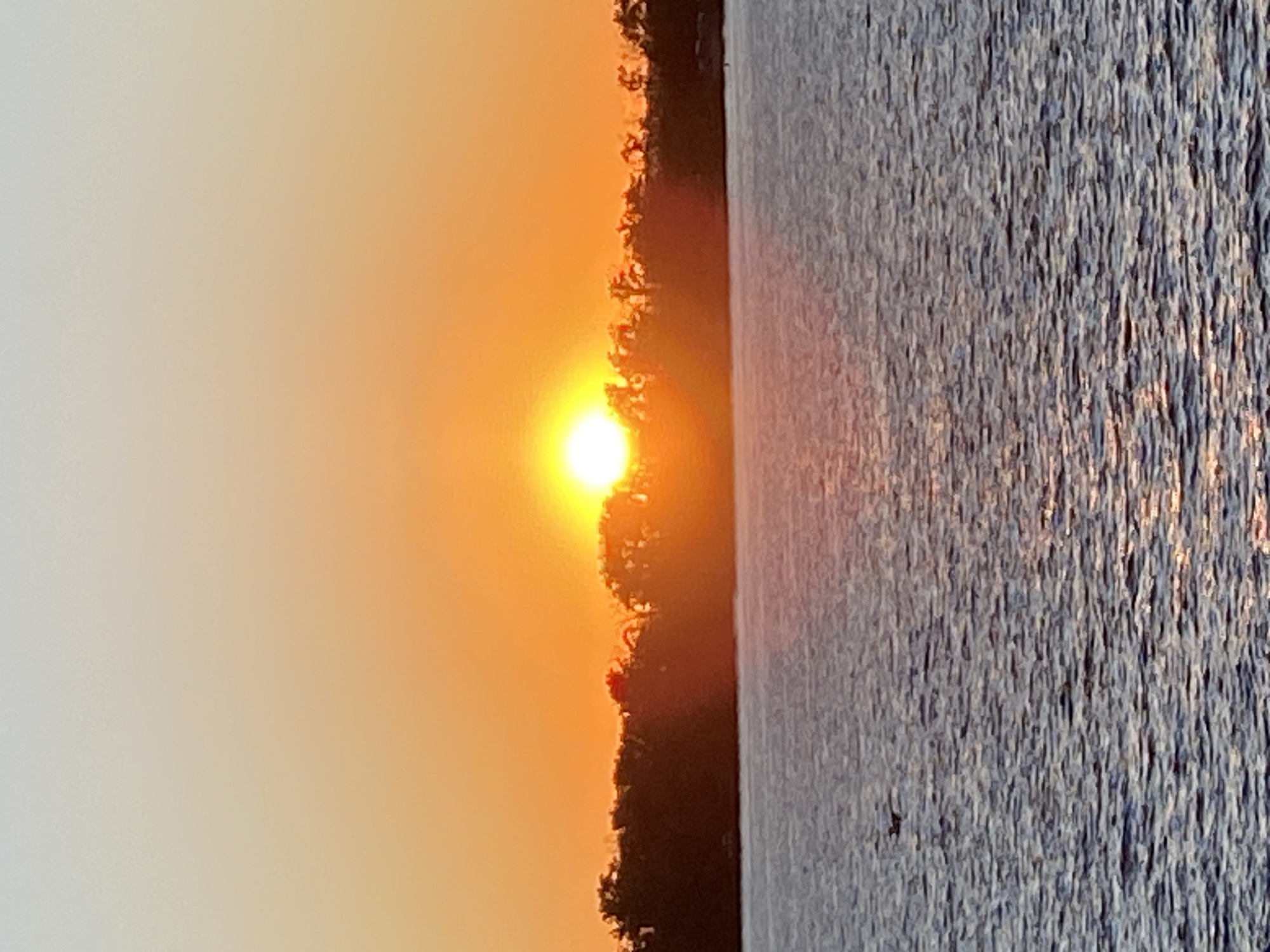 The image depicts a tranquil sunset scene over a body of water, likely a lake or ocean, as indicated by the calm waves. The sun, a brilliant orb of light, is positioned just above a silhouetted treeline, casting a warm, orange glow across the sky and reflecting on the water's surface. The sky transitions from a pale yellow at the horizon to a soft, light blue at the top of the frame, suggesting the late stages of twilight. A solitary bird is captured in mid-flight over the water, adding a dynamic element to the otherwise still landscape. The treeline, dense and dark, forms a stark contrast against the vibrant sky, hinting at a natural setting rather than an urban one. There are no visible structures or human activity in the immediate vicinity of the water or treeline. The overall impression is one of peaceful natural beauty, characteristic of a sunset in an undeveloped or natural area.