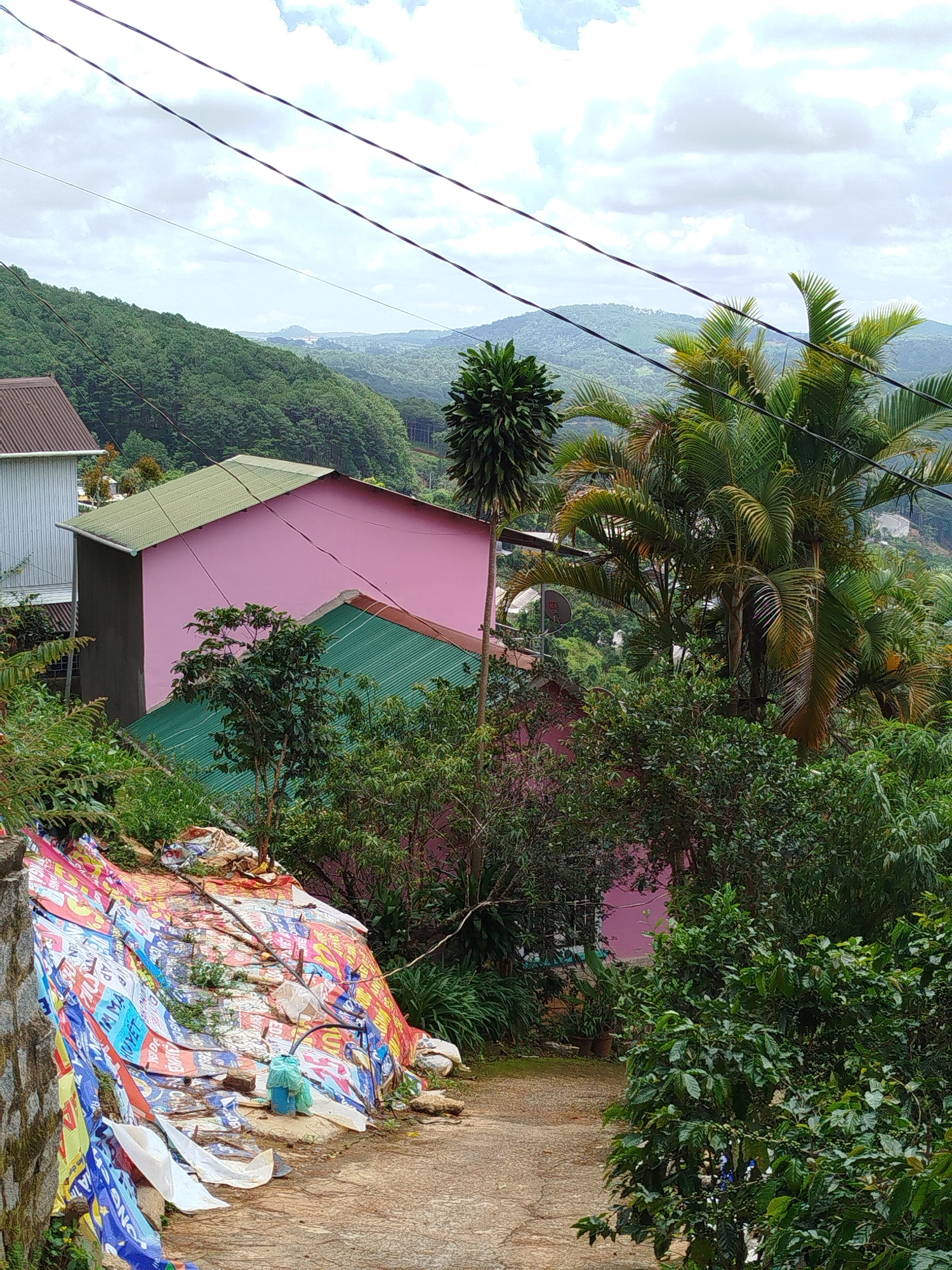 A slightly elevated, medium shot captures a hillside scene in Da Lat, Vietnam, dominated by lush green foliage and buildings. In the foreground, a weathered, sloped pathway leads downwards, bordered on the left by a stone wall and a colorful, tattered tarpaulin stretched over a pile of debris. The tarpaulin features various text and graphic elements in multiple colors, suggesting it might be discarded advertising banners or posters. A blue plastic bucket and some white plastic sheeting are also visible among the refuse.
Further up the slope, two houses are partially visible. The larger house in the middle ground has a striking pink facade and a green corrugated metal roof. Adjacent to it, partially obscured by trees, is another structure with a green corrugated metal roof. Tall palm trees and other dense green vegetation surround the houses and extend into the background, where rolling hills covered in dark green forest stretch towards a hazy horizon under a cloudy sky. Power lines are strung across the upper portion of the frame, crossing over the landscape. The overall impression is one of a lived-in, somewhat unkempt residential area nestled within the natural beauty of Da Lat's hilly terrain.