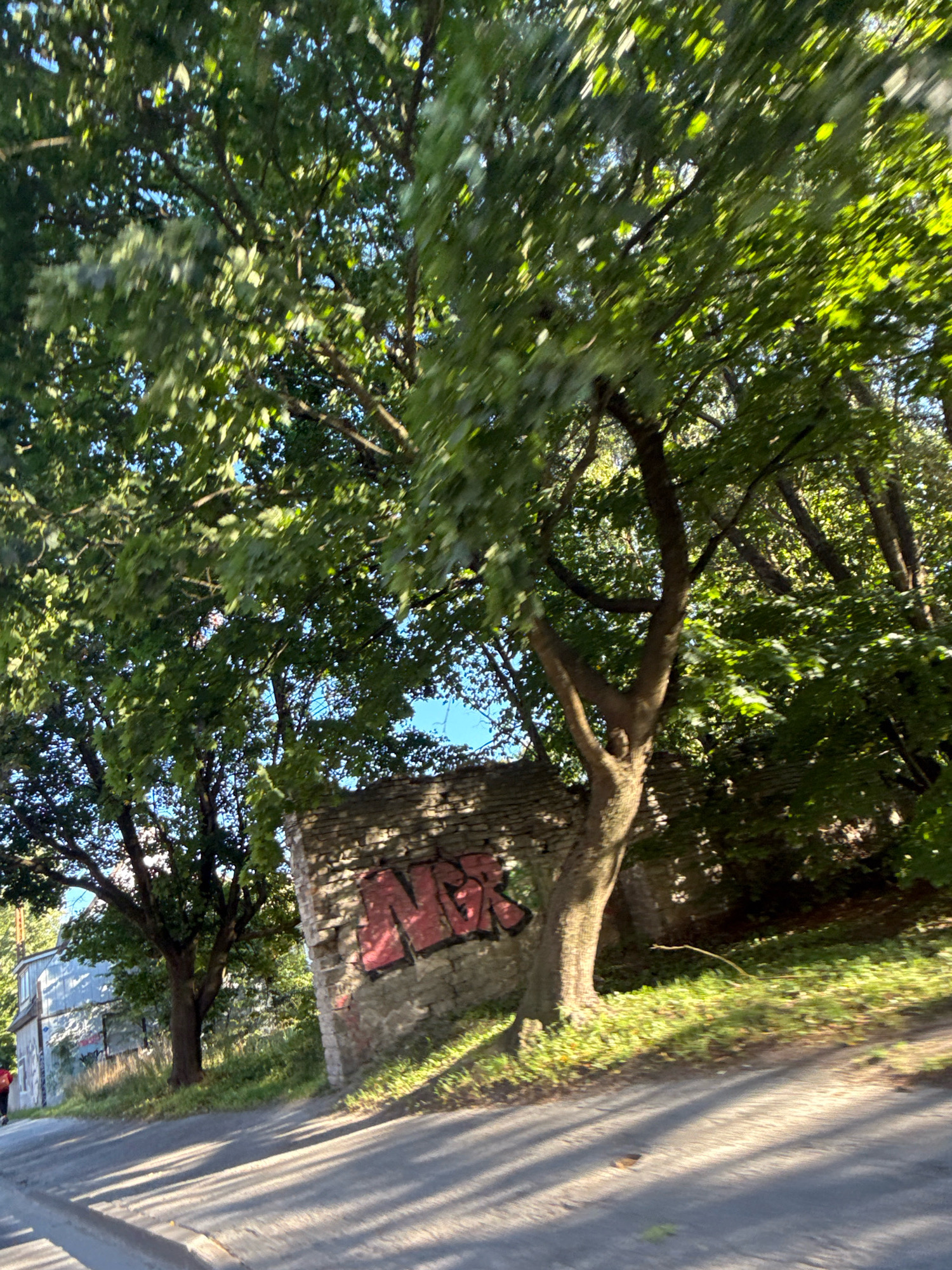 This image depicts a sun-dappled street scene in Tallinn, Estonia, with lush green trees dominating the frame. The foreground features a paved road with distinct shadows cast by the trees, indicating a sunny day. To the right, a section of an old brick wall is visible, adorned with red graffiti. Behind the wall and to the left, a building with a light-colored, possibly metal or wood, facade can be seen. A single person, wearing red clothing, is a small figure walking on the far left of the image, near the building. The overall impression is one of an urban area interspersed with natural elements, likely during daylight hours.
