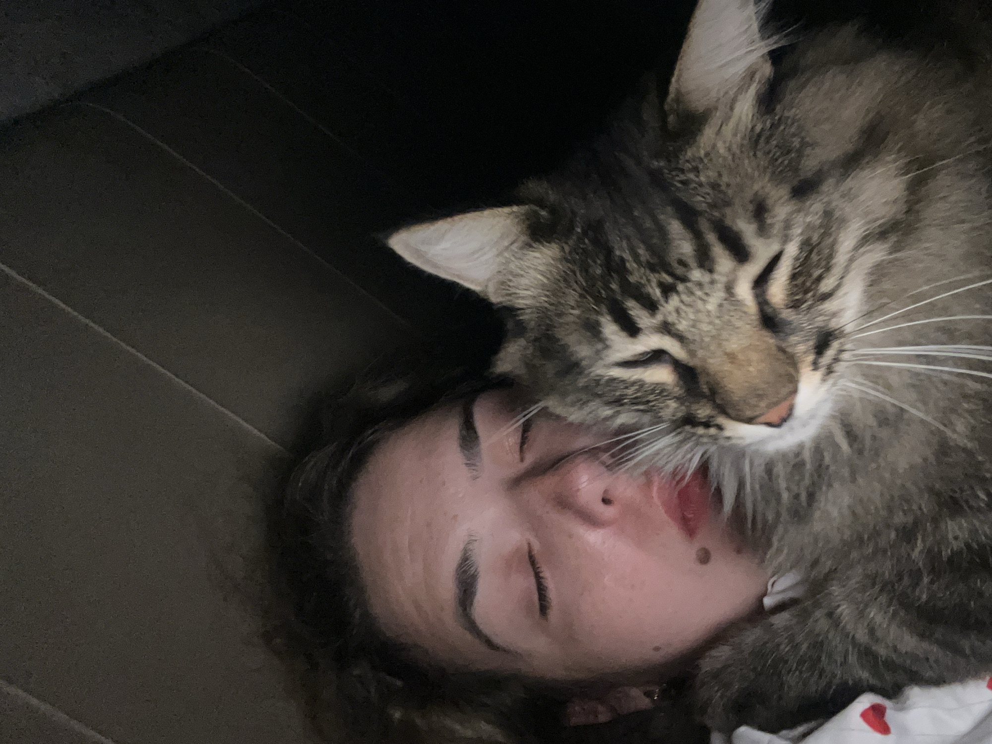 A close-up, overhead, medium shot captures a person and a cat in a tender embrace. The person, with eyes closed and a mole on their right cheek, is partially obscured by the cat. The cat, a tabby with closed eyes, nuzzles against the person's face. The background consists of dark, textured surfaces, possibly upholstery, suggesting an indoor setting. The person is wearing clothing with a pattern of small red hearts. The image is dimly lit, creating a sense of intimacy and warmth. The scene does not provide any specific indicators of its location within the city of Krasnyye Barrikady, Russia.