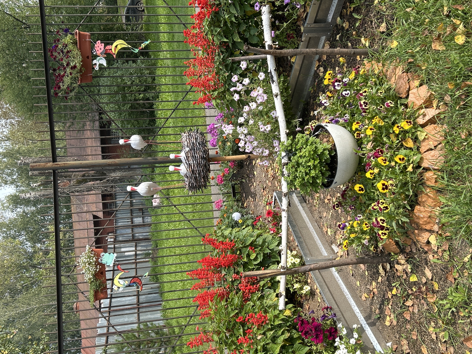 This image depicts a small, fenced garden area, likely a yard or a public park, located in Tomsk, Russia. The garden features a variety of colorful flowers, including bright red salvia, purple and pink petunias, and yellow and burgundy pansies. Decorative elements are present, such as two white stork figures in a woven nest, a frog cutout, and other whimsical bird-shaped ornaments hanging on the fence. A large potted green plant sits prominently in the foreground, surrounded by pansies. The garden is enclosed by a black metal fence, behind which a building with a brown roof is visible, along with trees and a car parked in the distance. The ground is covered with fallen leaves, indicating an autumn or late summer setting. The overall scene suggests a well-maintained and artistically decorated outdoor space.
