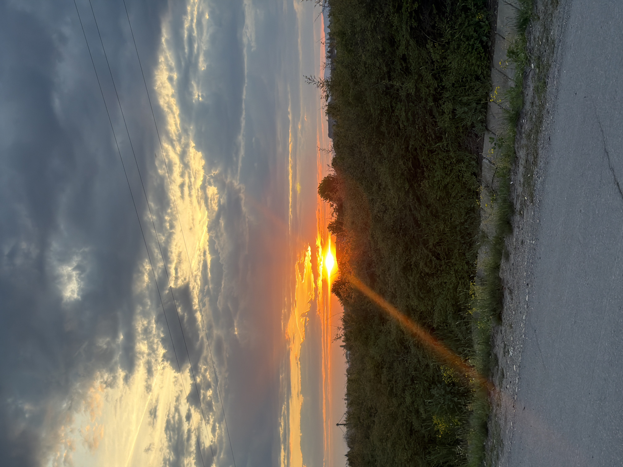 The image depicts a sunset in Yana, Bulgaria. A bright orange sun is partially obscured by trees along a roadside. Sunlight radiates down from the sun through the foliage. To the left, storm clouds with highlighted edges fill the sky, contrasted by the orange and yellow hues surrounding the sun. Power lines stretch across the upper left portion of the sky. A paved road occupies the lower right corner of the image, adjacent to a thick green vegetation. The perspective suggests the photo was taken at ground level.