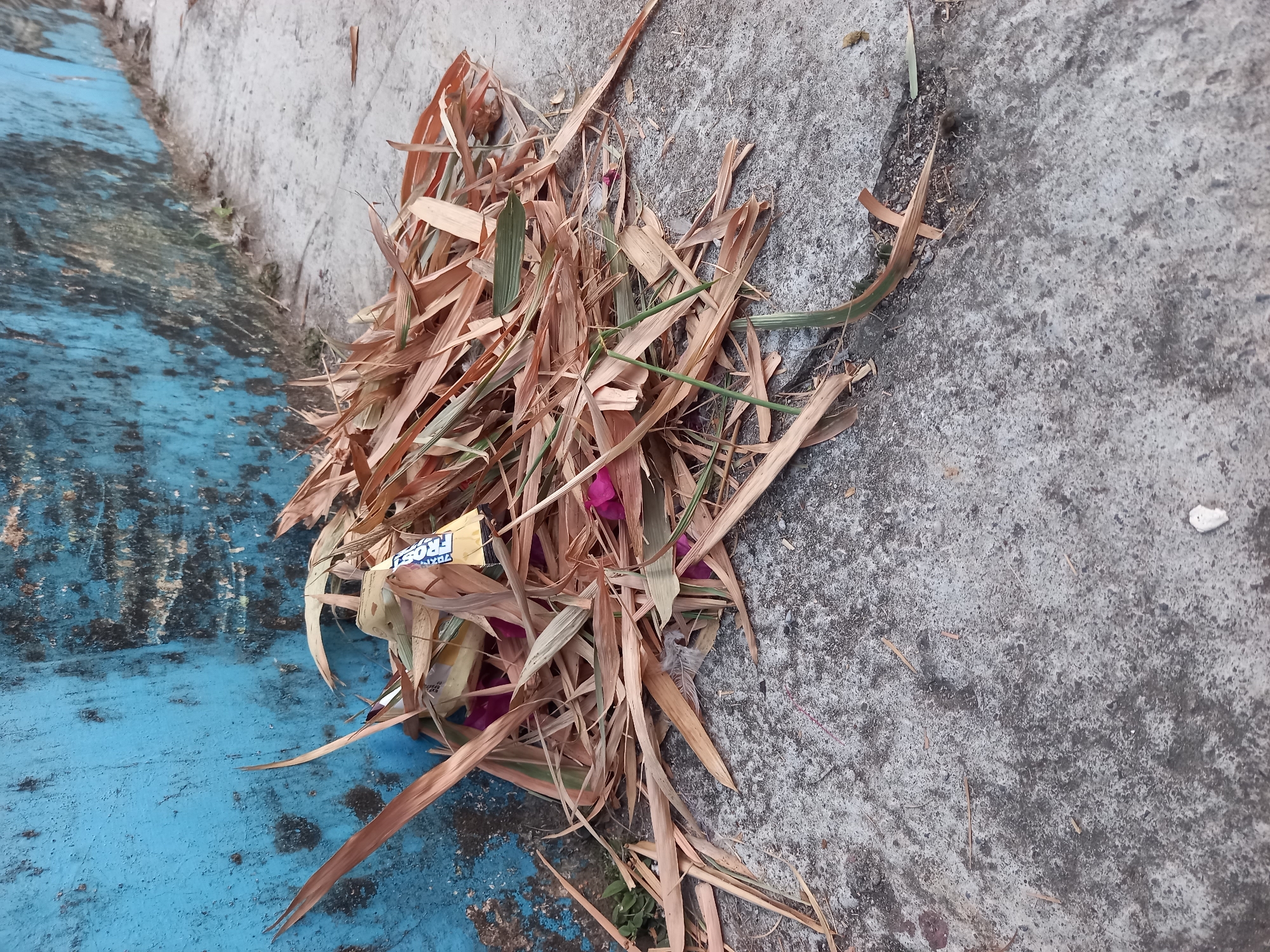 In Kebon Agung, Indonesia, a pile of dried brown leaves and some pink flower petals is situated on a concrete surface next to a weathered blue wall. A small, yellow and white wrapper, possibly from a food product, is partially visible within the pile of leaves. The concrete appears to be a sidewalk or pathway, showing signs of wear and some scattered debris. The blue wall has patches of darker discoloration and appears to be textured. The lighting suggests it is daytime, with the scene captured at a slightly elevated angle looking downwards.