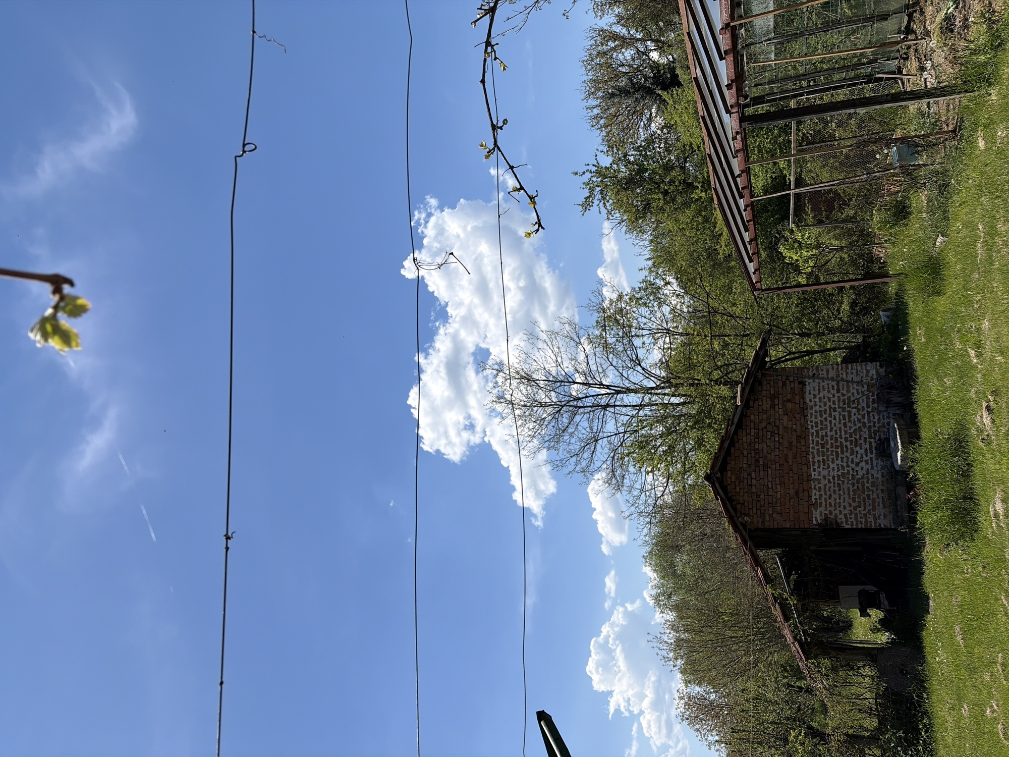 The image shows a scene in Ravnishte, Bulgaria. The view is directed upwards, capturing a blue sky with scattered white clouds. A series of wires run vertically across the frame. A branch with budding leaves is visible in the upper left corner. In the right part of the frame, there's a glimpse of greenery, a brick structure with a dark interior. A greenhouse-like construction appears in the upper right corner, showing rusty or weathered metal parts. The environment is rural and the overall lighting indicates it is daytime. There are no people visible in the image.