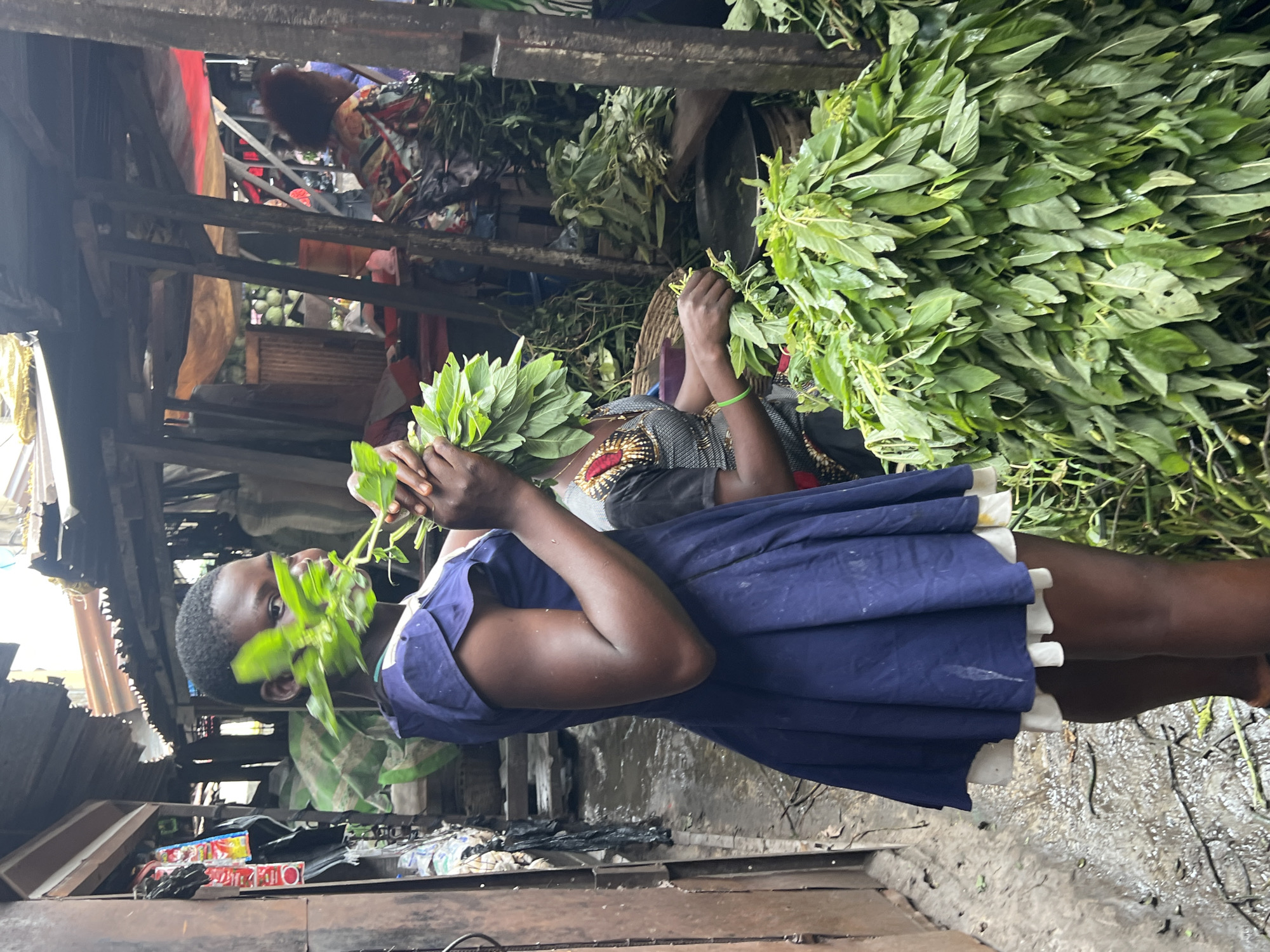 The image depicts a bustling market scene in Nkpor, Nigeria. The primary subjects are two individuals, likely vendors, engaged in the sale of fresh produce, specifically large bundles of leafy green vegetables. One person, in the foreground, is wearing a blue dress and holds a bunch of these greens. The other person, behind them, is partially visible and is also interacting with the produce.
The setting appears to be an open-air market with a rustic, somewhat makeshift stall structure. Wooden planks and corrugated metal sheets are visible, suggesting a temporary or traditional market environment. The ground is wet and appears to be muddy, indicating recent rain or a damp climate. Piles of goods and other market stalls are visible in the background, adding to the sense of a busy marketplace.
The lighting suggests it is daytime, with the natural light filtering through the market structures. The overall atmosphere is one of active commerce. The focus is on the fresh produce and the people selling it, highlighting the daily life and economic activity of the location. No visible text is present in the image.
