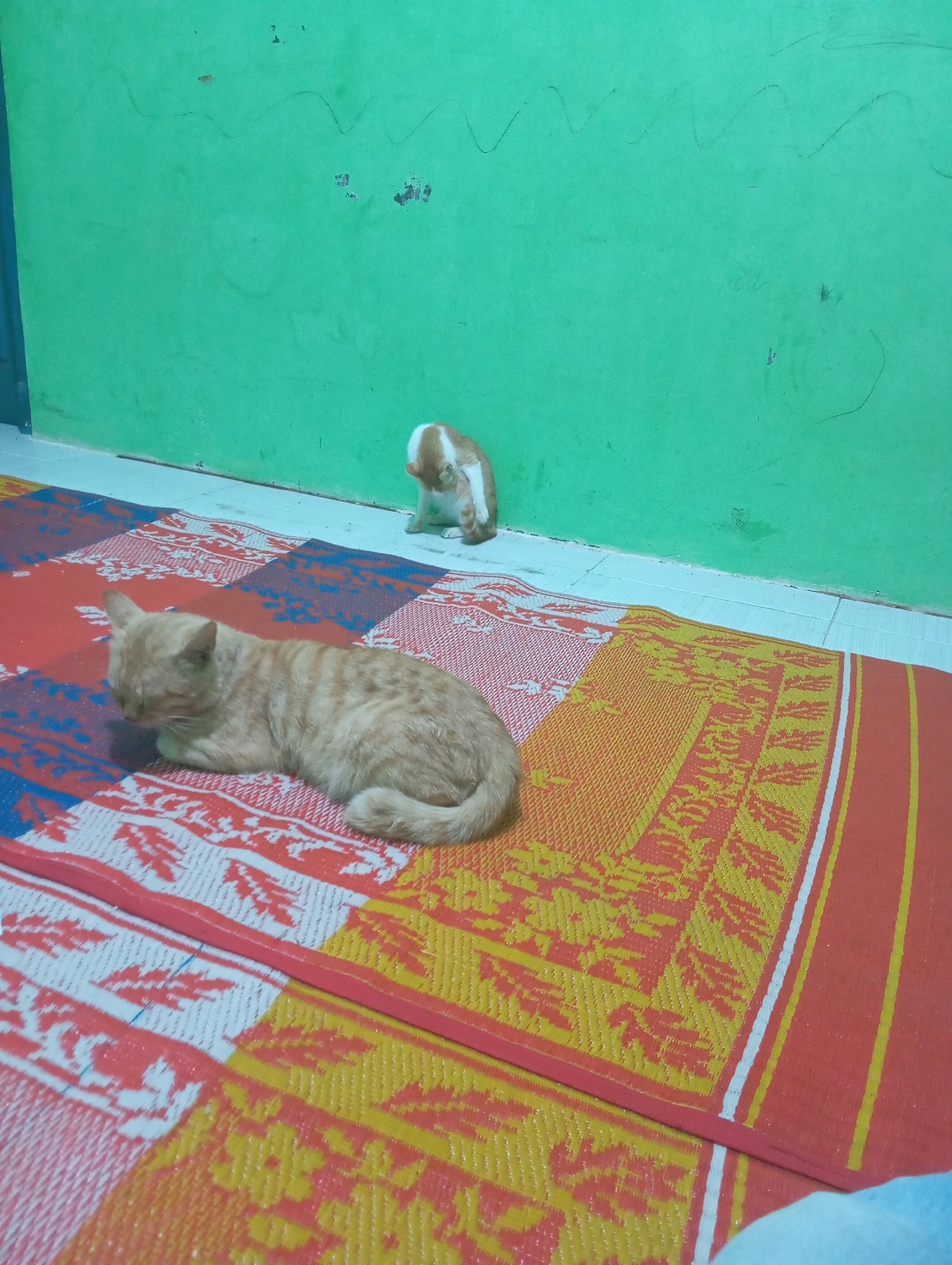 In a room with a green wall in Kamang Mudiak, Indonesia, two cats are present. In the foreground, an orange tabby cat is lying down on a woven mat with red, yellow, and white patterns. In the background, a smaller orange and white cat is grooming itself. The floor beneath the mat appears to be tiled.