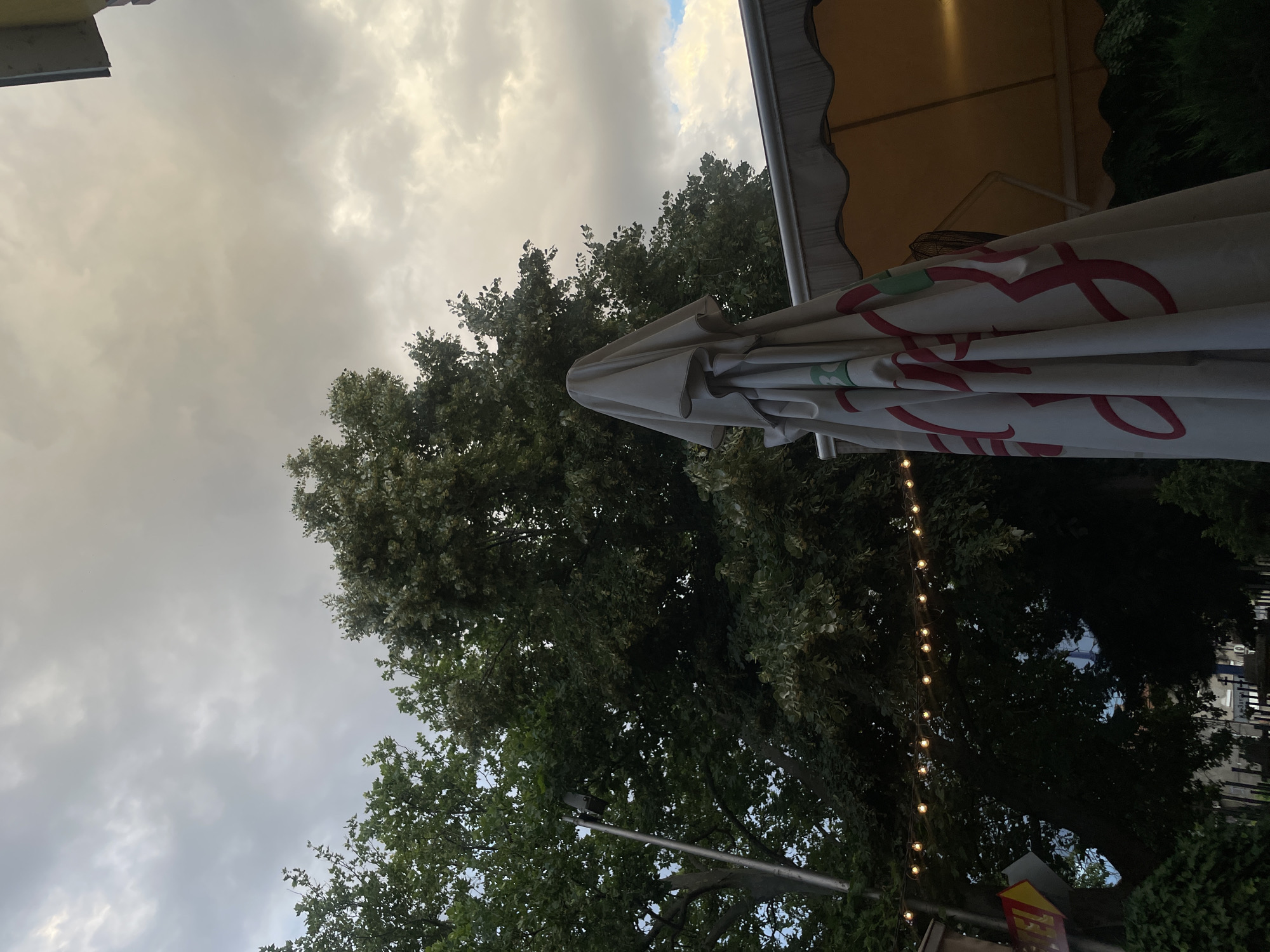 The image shows an outdoor scene with a cloudy sky overhead. In the foreground, a folded umbrella with a red and green pattern is visible, propped up against something yellow, possibly another umbrella or awning. Behind the umbrella, a large tree with dense green foliage dominates the frame. String lights, illuminated and appearing to be set to a warm glow, are strung amongst the branches of the tree, suggesting an evening or nighttime setting. A metal pole, possibly part of a street light or signpost, extends upwards through the trees. The overall mood is somewhat subdued due to the cloudy sky, but the string lights add a touch of festivity. No people are visible in the frame. The location is likely an outdoor seating area, perhaps a cafe or restaurant.