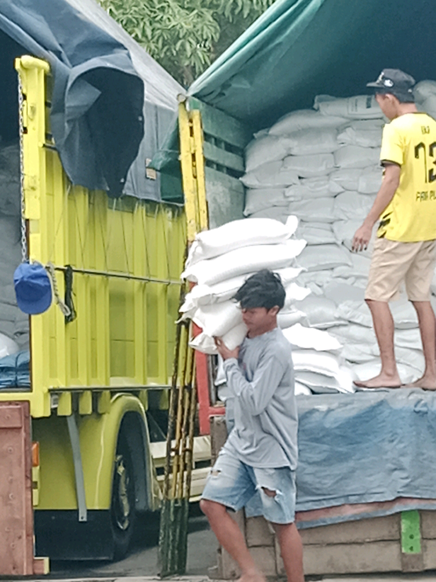 Two young men are engaged in the unloading of a truck filled with sacks of goods. The truck, a bright yellow model with a dark blue tarpaulin cover, is partially visible on the left side of the frame. One man, wearing a grey long-sleeved shirt and ripped denim shorts, carries a white sack on his left shoulder. He is positioned in the foreground, facing towards the right. The second man, wearing a yellow t-shirt with the number "23" on the back and a dark baseball cap, stands in the middle ground to the right, also in the truck bed. He is facing away from the camera, and his left leg is visible. The truck bed is densely packed with numerous white sacks, stacked high. The environment suggests an outdoor setting, possibly a loading dock or street in Salatiga, Indonesia, with hints of trees in the background. A blue cap is hanging from a chain on the left side of the truck.