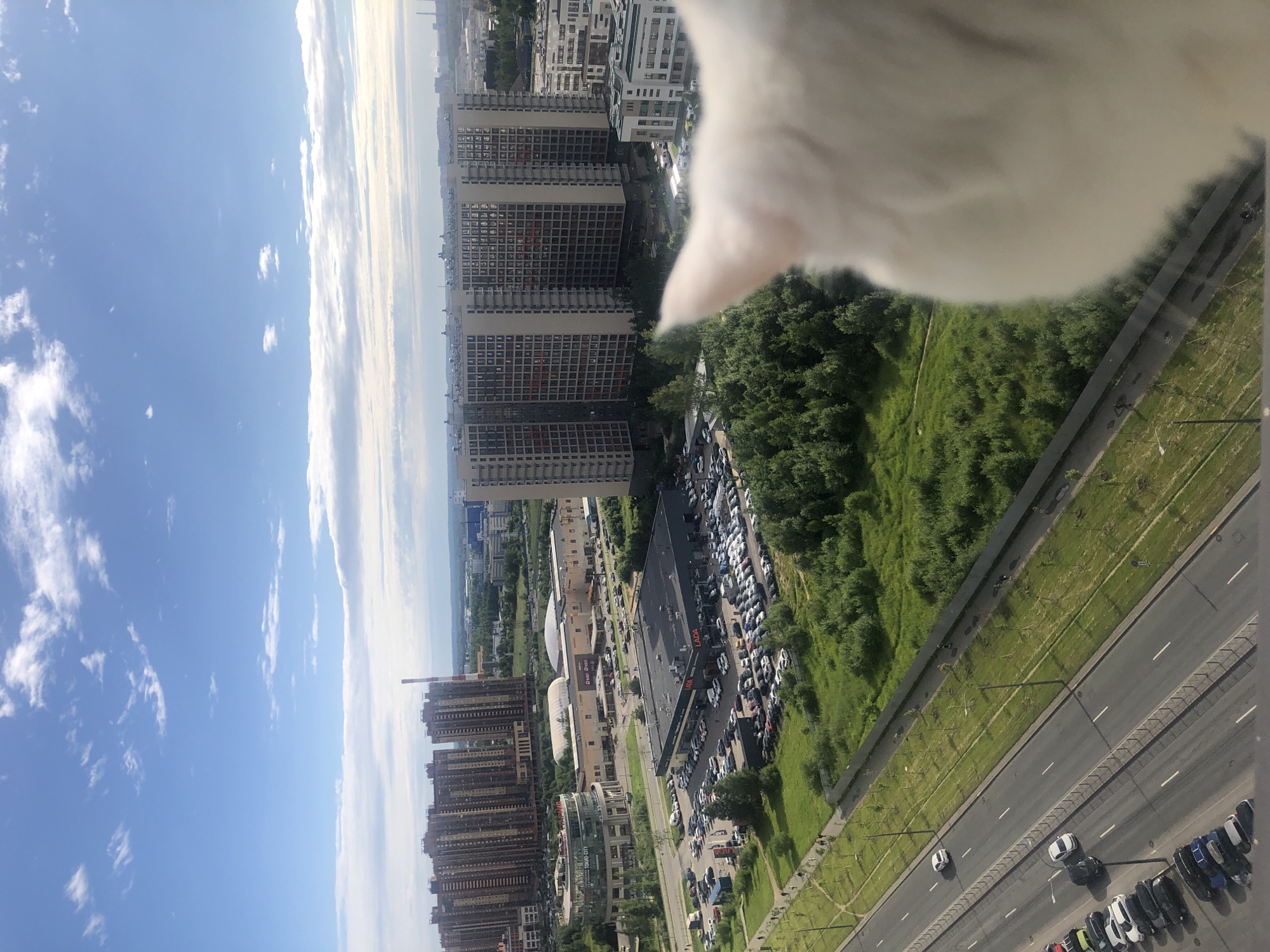 An aerial view captures a sprawling urban landscape under a bright blue sky with scattered white clouds. The foreground is dominated by the blurred white fur of a cat's head, suggesting the photo was taken from a window or balcony.
In the mid-ground, a wide, multi-lane road runs diagonally from the lower left to the center of the frame. Several cars are parked along the side of the road in designated bays and on the shoulder. A grassy median strip with young trees separates the lanes of traffic. Adjacent to the road is a green, park-like area with more trees and a walking path where several pedestrians can be seen.
Further into the scene, a car dealership with a large black building and numerous cars in its lot is visible. Behind the dealership, a large, modern shopping complex with a curved glass facade stands out. Beyond this, a series of tall, residential apartment buildings with many windows are clustered together. The buildings are characterized by their reddish-brown and beige facades. In the distance, a smokestack emits a faint plume, and other city structures and industrial buildings can be discerned, extending towards the horizon. The overall scene depicts a densely populated urban environment with a mix of residential, commercial, and infrastructure elements.