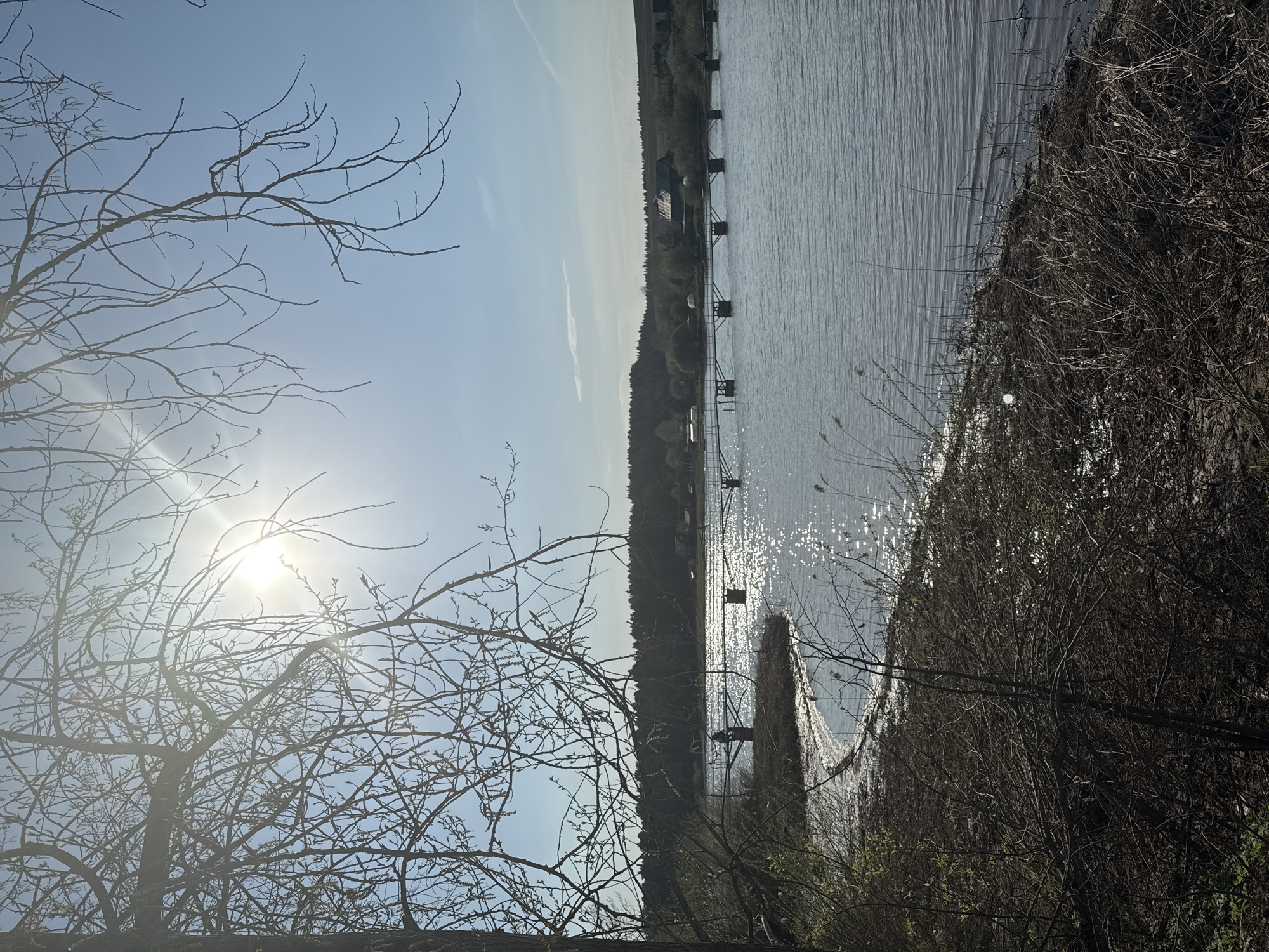The image depicts a landscape with a body of water bisecting the scene. On the left, bare-branched trees are silhouetted against a bright, sunlit sky. The sun is visible through the branches. The body of water, likely a lake or river, reflects sunlight, creating a shimmering effect. Along the opposite shore, there is a line of trees and vegetation. Several small structures, possibly fishing platforms, are built over the water, connected to the land by walkways. On the right, similar vegetation as the left side is visible. The overall scene evokes a natural setting, possibly a rural area near Luzhkovo, Russia. No people are visible in the image.