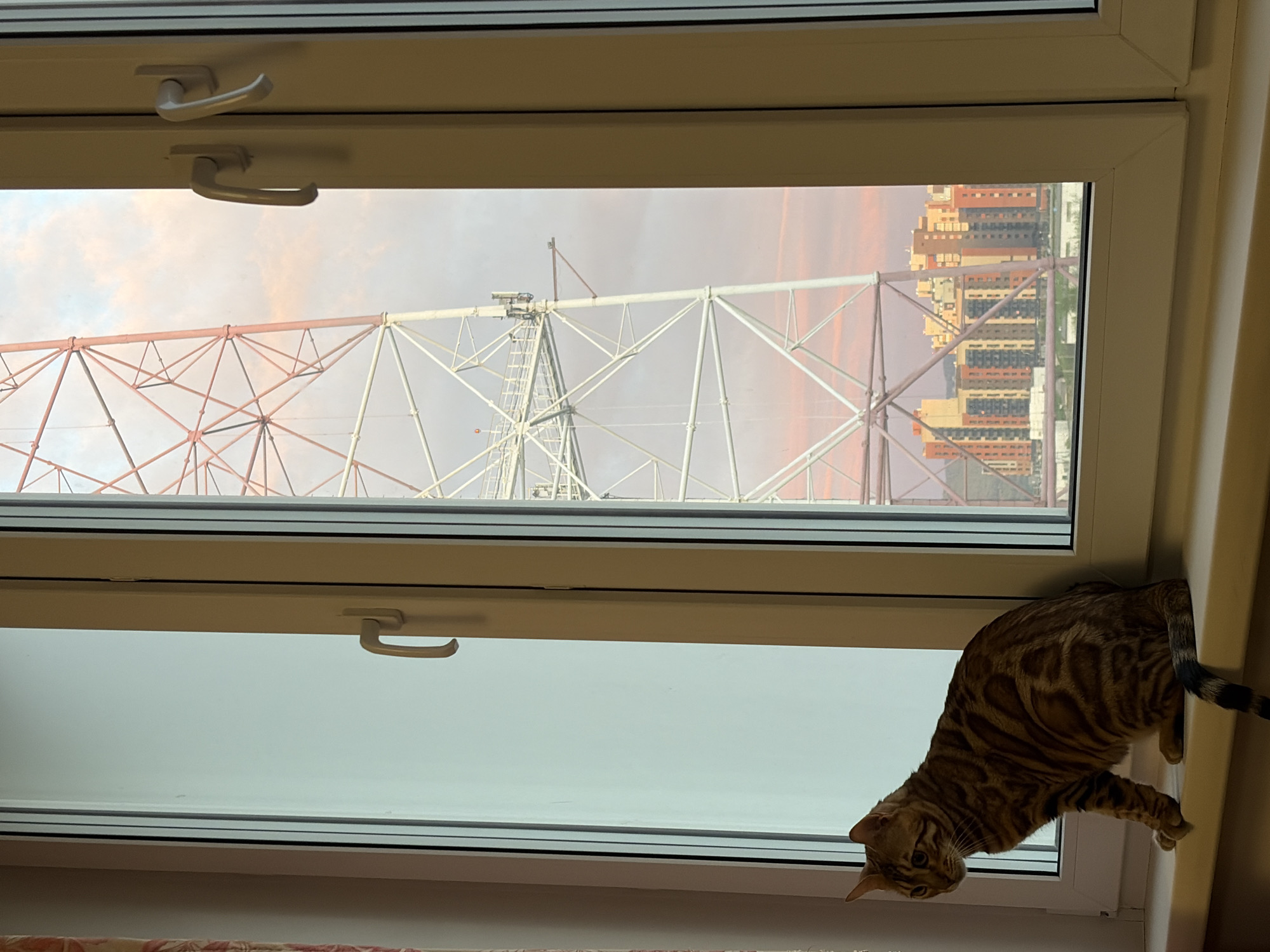 A Bengal cat is on a windowsill in an open window. Outside, there is a view of the radio telescope at the Iskra plant in Krasnoyarsk, Russia, as well as some buildings in the city. The sky is bright. The window is white and has two handles.