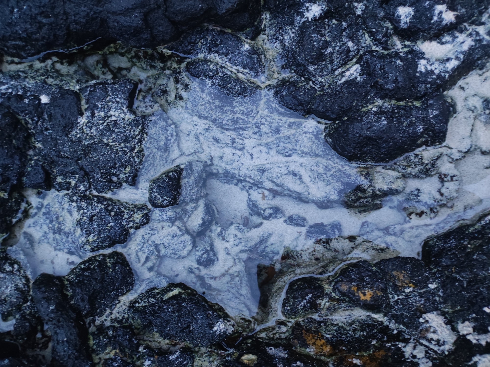 The image depicts a close-up view of a rocky terrain. The rocks are primarily dark, with varying textures and colors, some with a slightly glossy or wet appearance. A central depression or pool filled with a light-colored substance, possibly water or sediment, is nestled among the rocks. The substance appears to have a grainy or sandy texture. The overall scene is detailed and natural, suggesting an outdoor environment. The location details (city, state) are unknown based on the provided information.