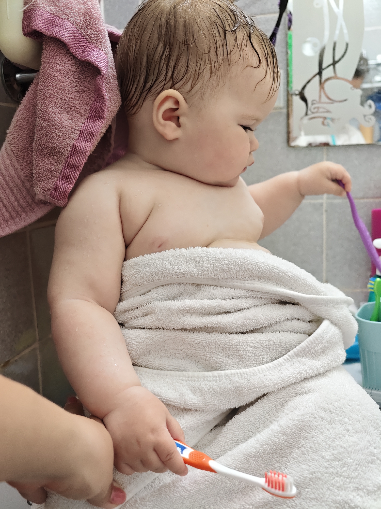 A close-up shot depicts a baby, partially wrapped in a white towel, in what appears to be a bathroom setting, likely in a residential environment. The baby has damp hair and fair skin. The baby is holding an orange and white toothbrush in their right hand. An adult hand is holding the baby's left hand. A purple toothbrush is positioned in the background on a shelf, next to a light blue toothbrush cup. There is also a pink towel. The location cannot be determined as the city of Chaikovsky, Russia, from the image content alone.