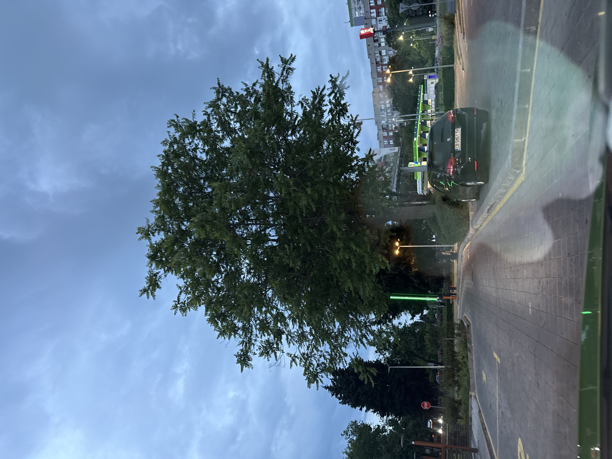 The image depicts an outdoor scene in Burgas, Bulgaria, likely near a service station or drive-thru. A large tree with dense green foliage dominates the center of the frame. In the foreground, a black Peugeot hatchback with license plate CB 5851 TH is parked on a paved area marked with yellow lines. Behind the car, a modern-looking service station with green and blue accents is visible. The background features a multi-story apartment building with a red and white sign. The sky is overcast with clouds. The lighting suggests it is either dawn or dusk. There are no people clearly visible in the image.