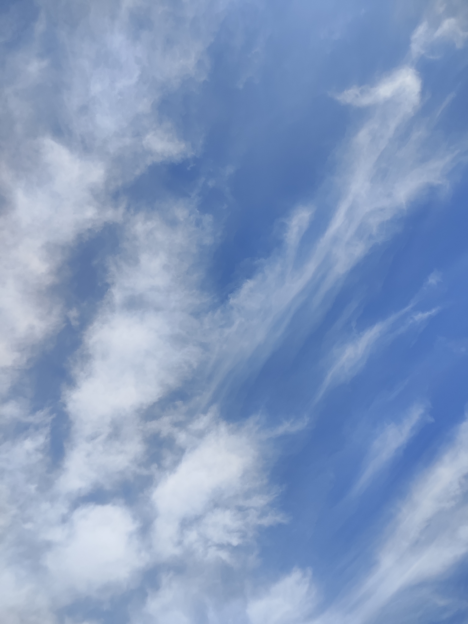 The image is a photograph of the sky, filled with scattered white clouds against a clear blue background. There are no people, objects, or discernible landmarks present in the image. The scene depicts an outdoor environment, specifically the sky above Gvardeysk, Russia, with a focus on the atmospheric conditions. The clouds are wispy and varied in density, with some appearing more solid and others more translucent, creating a textured appearance across the frame. The blue of the sky is consistent throughout, suggesting daylight conditions.