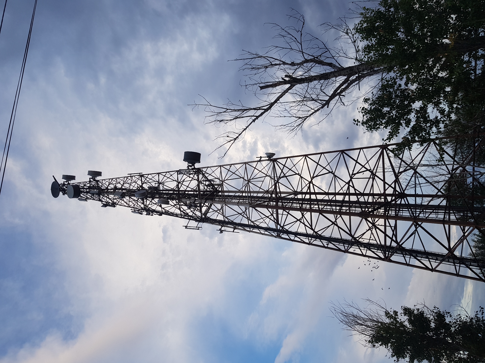 An outdoor, low-angle shot captures a tall, lattice-style telecommunications tower against a cloudy sky. The tower is equipped with numerous antennas, dishes, and other equipment. To the right of the tower, a barren, dead tree with no leaves stands, its branches stark against the sky. To the left and in the foreground, there are trees with dark green foliage. A flock of birds is visible flying in the sky to the left of the tower. Power lines are present at the top of the image. The scene appears to be located in or near Kurchatov, Kazakhstan.