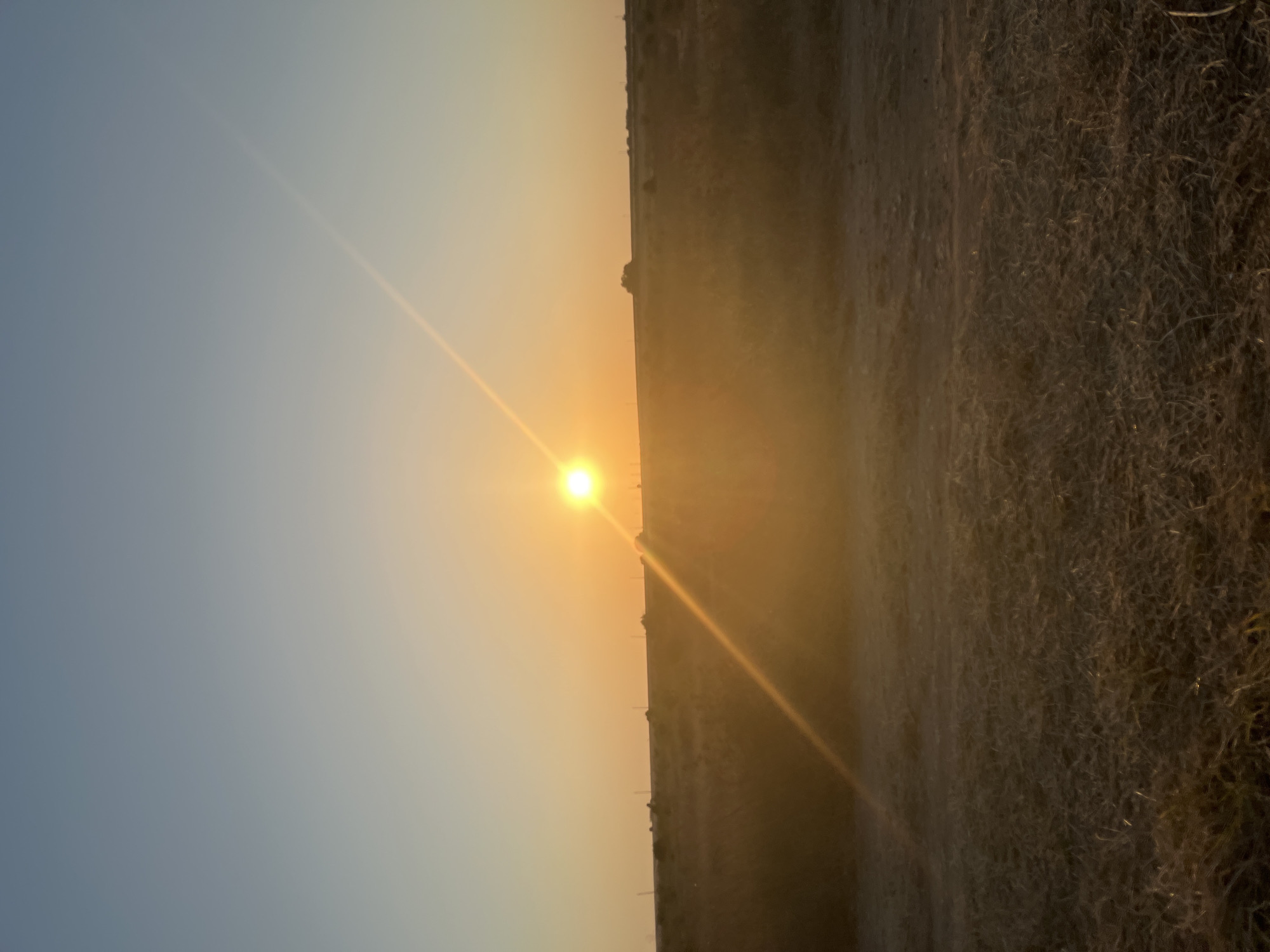 The image depicts a wide, open field under a pale blue sky transitioning to a warm orange glow near the horizon. The sun is a bright, circular orb positioned slightly left of the center of the frame, casting a strong, diagonal ray of light across the scene. The foreground is a rough, dry grassy field, appearing somewhat sparse and muted in color due to the low light. In the middle ground, the terrain rises slightly, with more vegetation visible, and a faint, dark line suggesting distant trees or a slight elevation. Beyond this, silhouetted against the horizon, are several slender poles, possibly power lines or wind turbines, stretching across the landscape. The overall impression is of a rural, undeveloped area at sunrise or sunset, with a sense of natural expanse and the soft, diffused light characteristic of these times of day. The scene does not contain any people or specific landmarks indicating it is located in Shabla, Bulgaria.