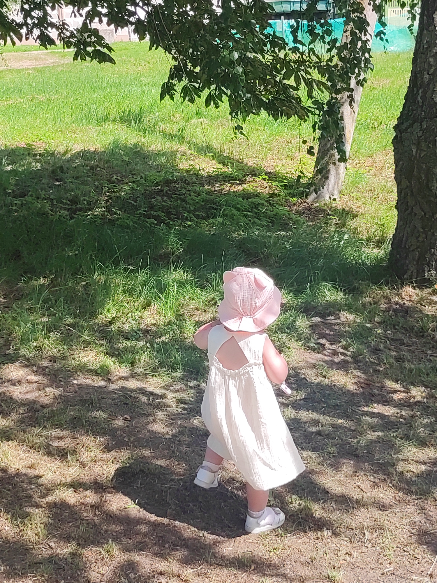 A young child wearing a light-colored dress and a pink sun hat with ear details stands on a patch of dry grass in a park. The child is facing away from the camera, looking towards a grassy area with trees. Sunlight casts shadows on the ground. The background includes a tree trunk, green grass, and foliage from a larger tree in the foreground. The scene appears to be outdoors on a sunny day.