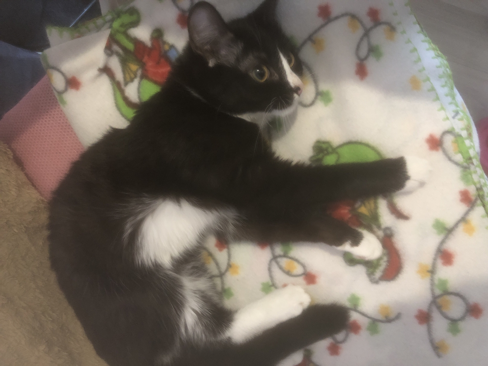 A black and white domestic cat is lying on a white blanket with a pattern of green and red figures connected by dark lines and lights. The cat is curled slightly, with its white paws extended. A pink object is visible to the left of the blanket, and a beige surface is partially visible at the bottom left. The location in the city of Nyagan, Russia is not confirmed within the provided image.